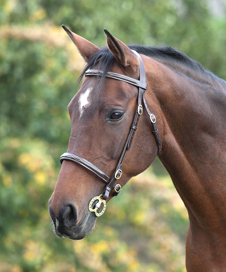 Velociti GARA Fancy Stitched Inhand Bridle