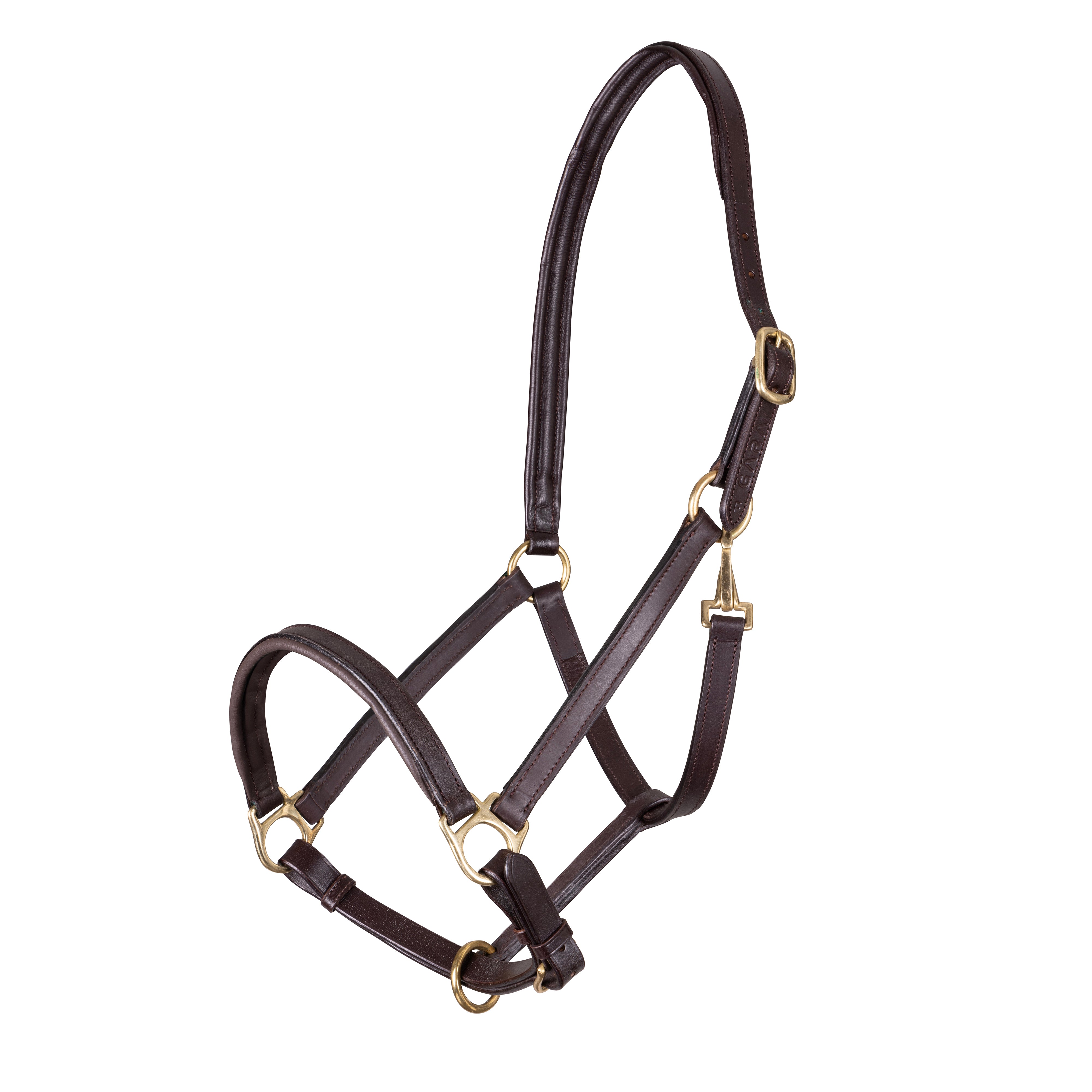 Velociti GARA Ragley Lined Leather Headcollar