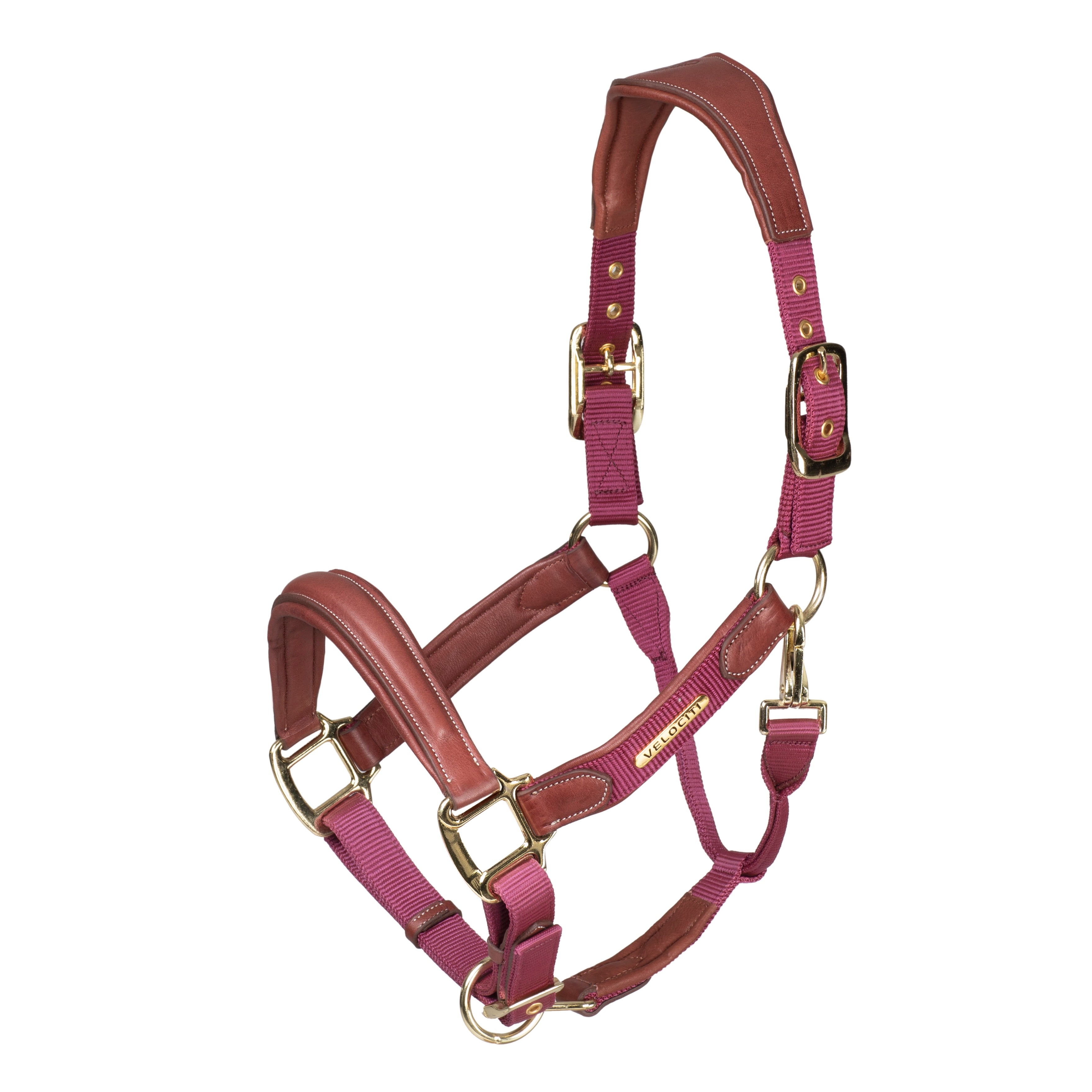 Velociti Lusso Padded Leather Headcollar