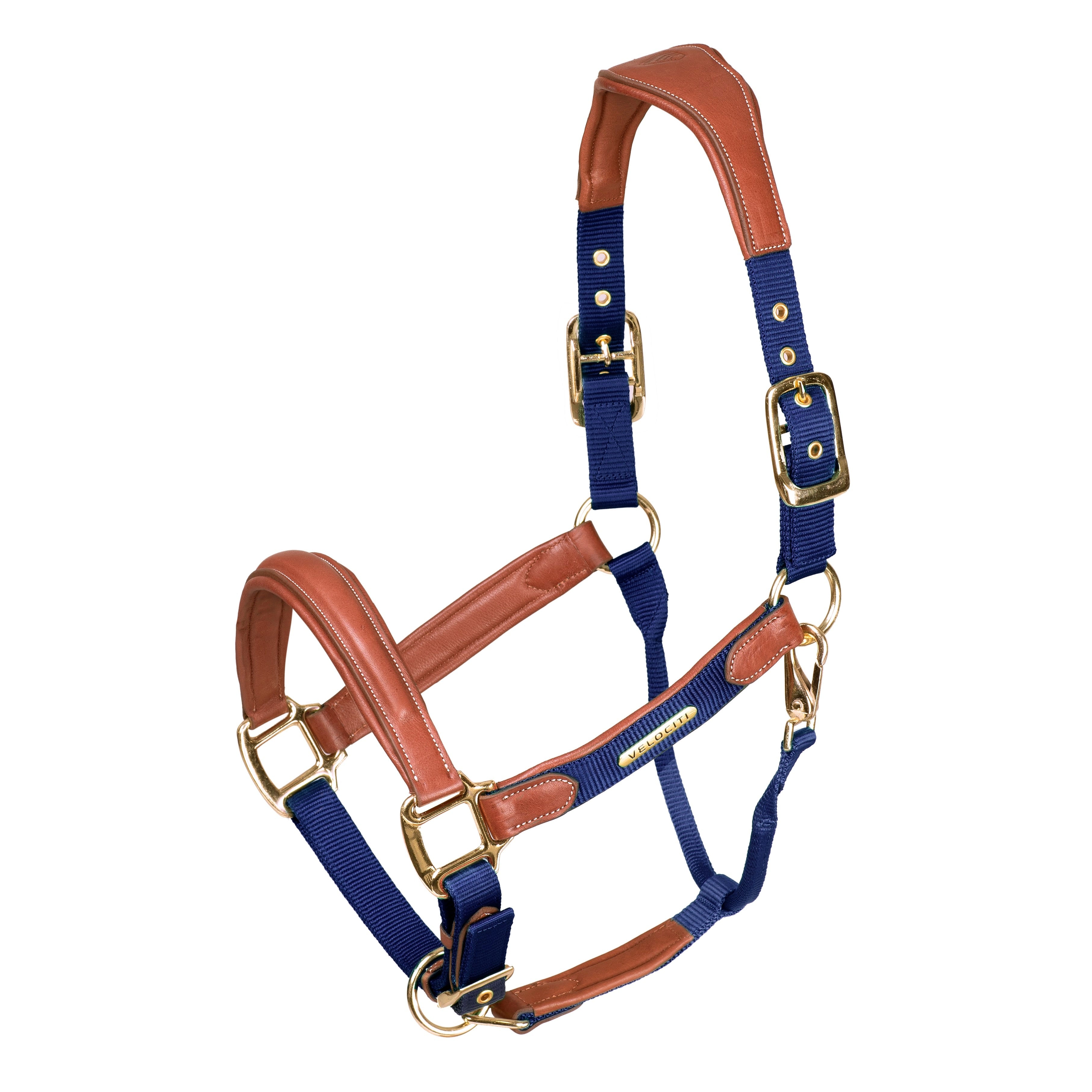Velociti Lusso Padded Leather Headcollar