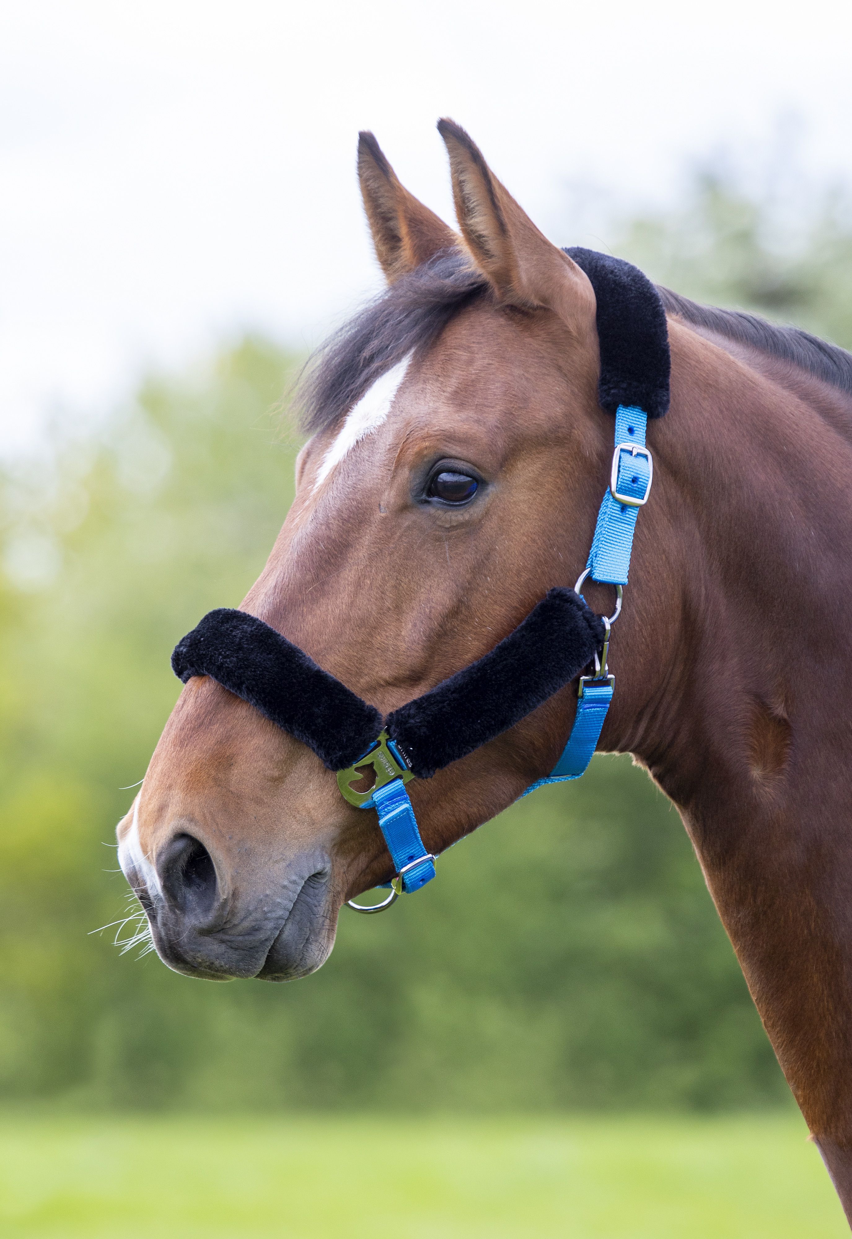 Headcoller Rack Fleece Lined Headcollar