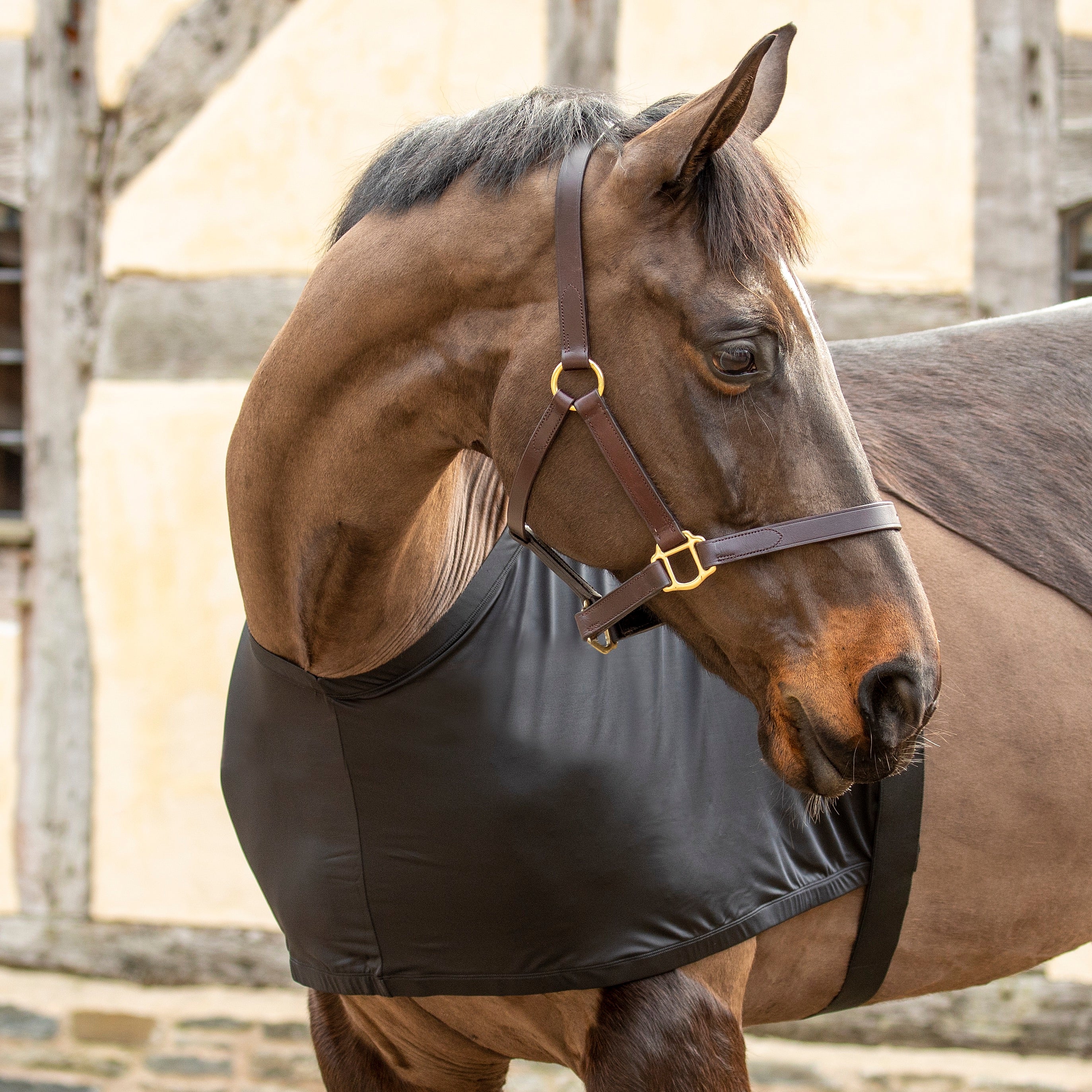 Anti-Rub Stretch Vest