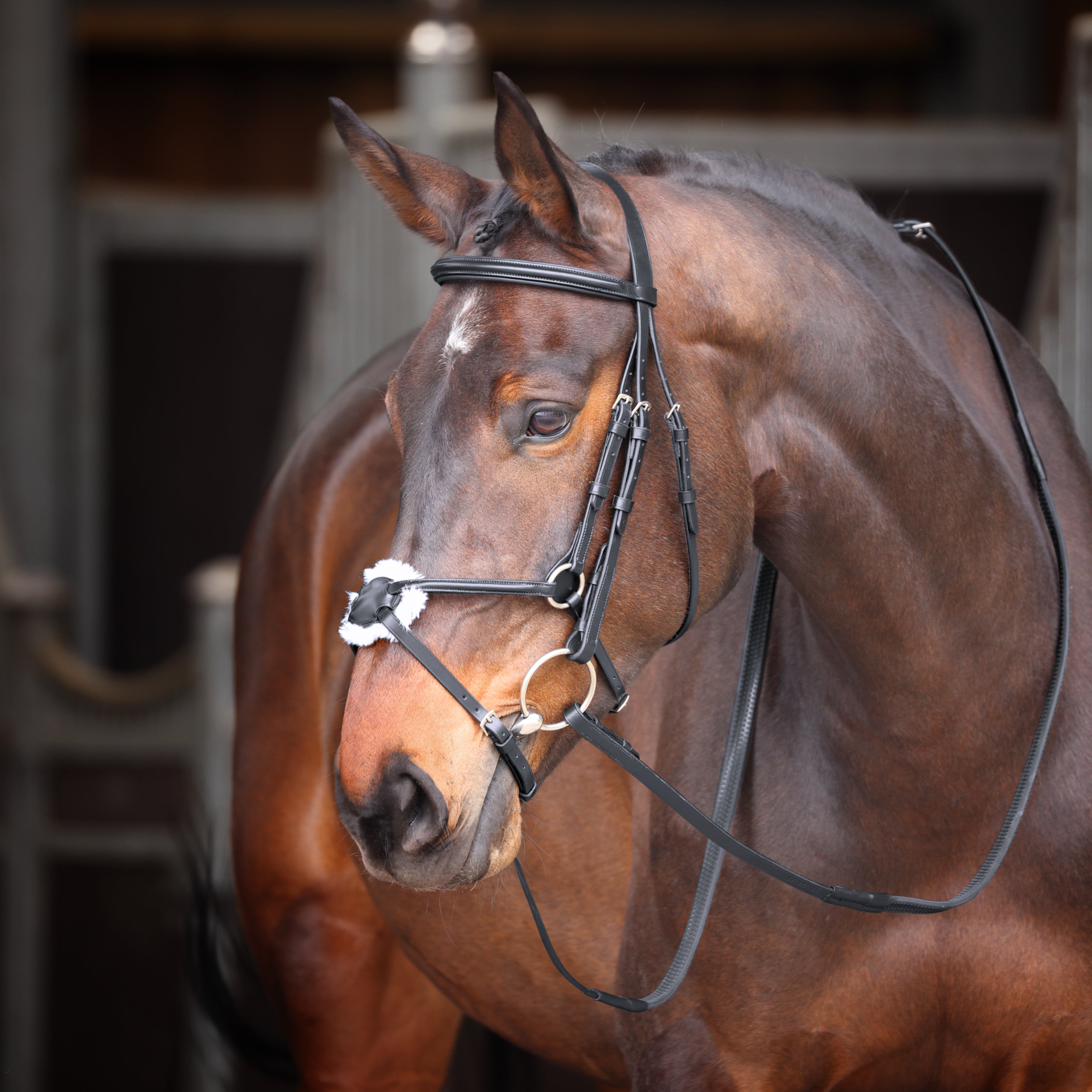 Velociti GARA Mexican Bridle