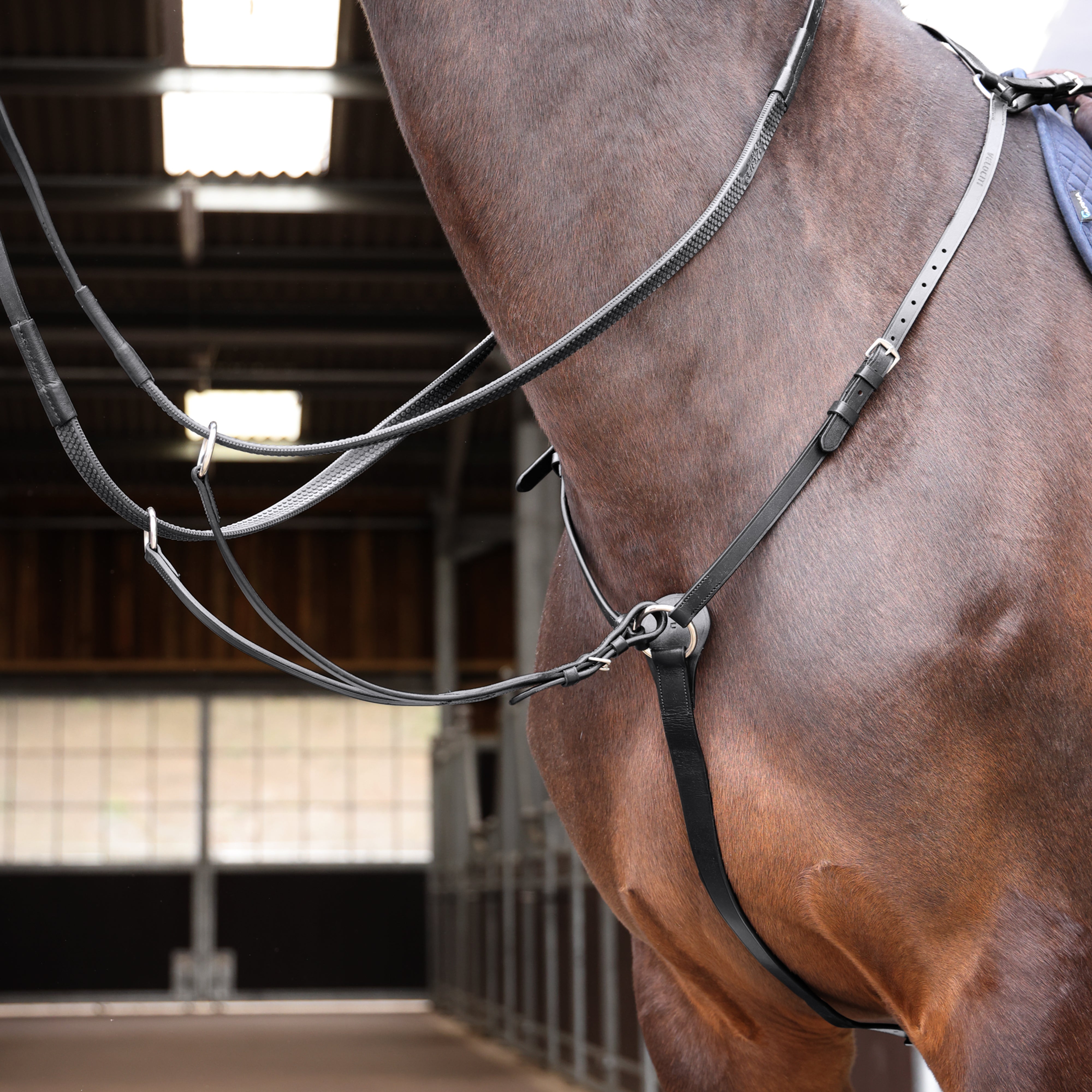 Pettorale Per Cavallo Shires Salisbury 3 Punti - Imbottito, Regolabile, Con Attacco Martingala - Foto 12