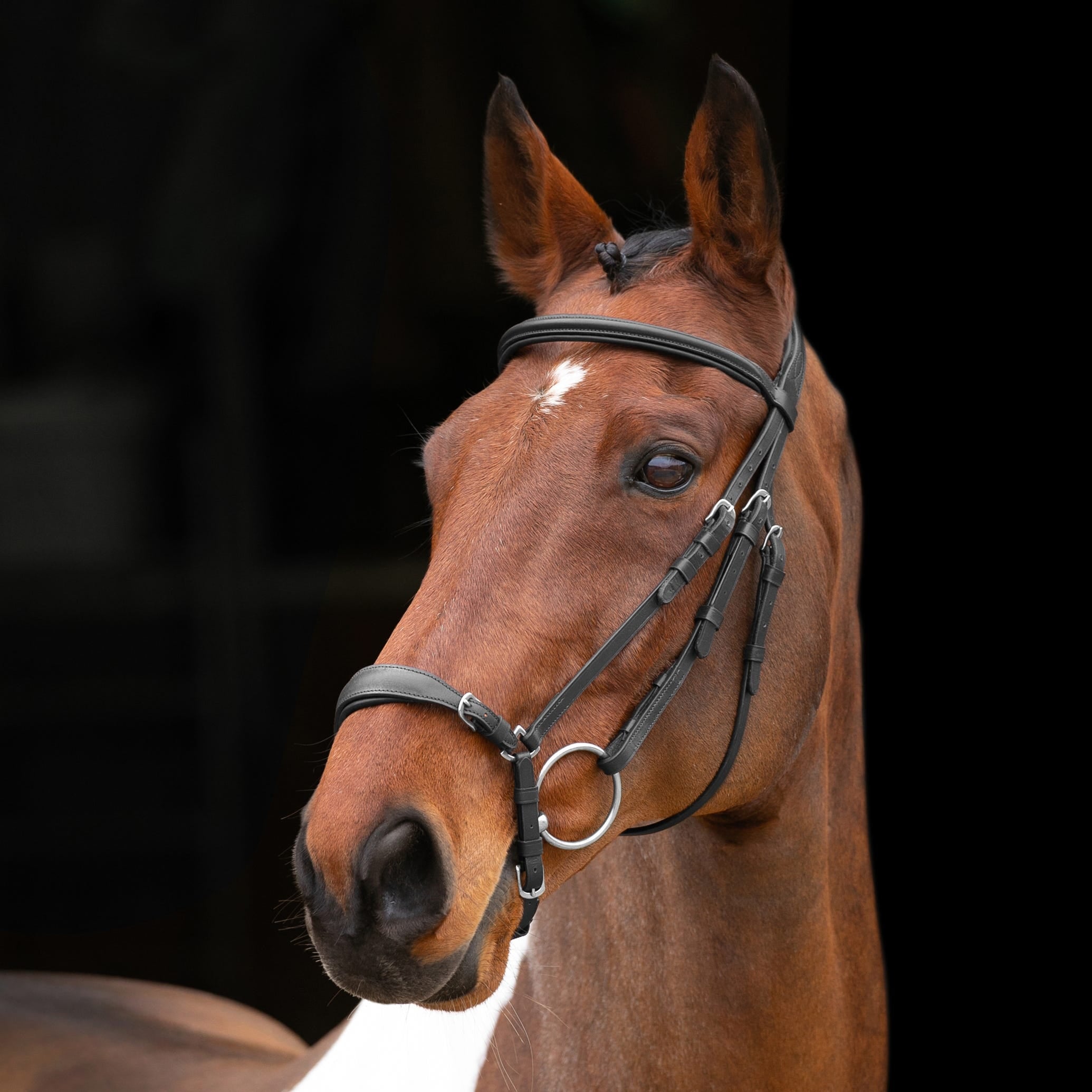 Velociti RAPIDA Drop Noseband Bridle