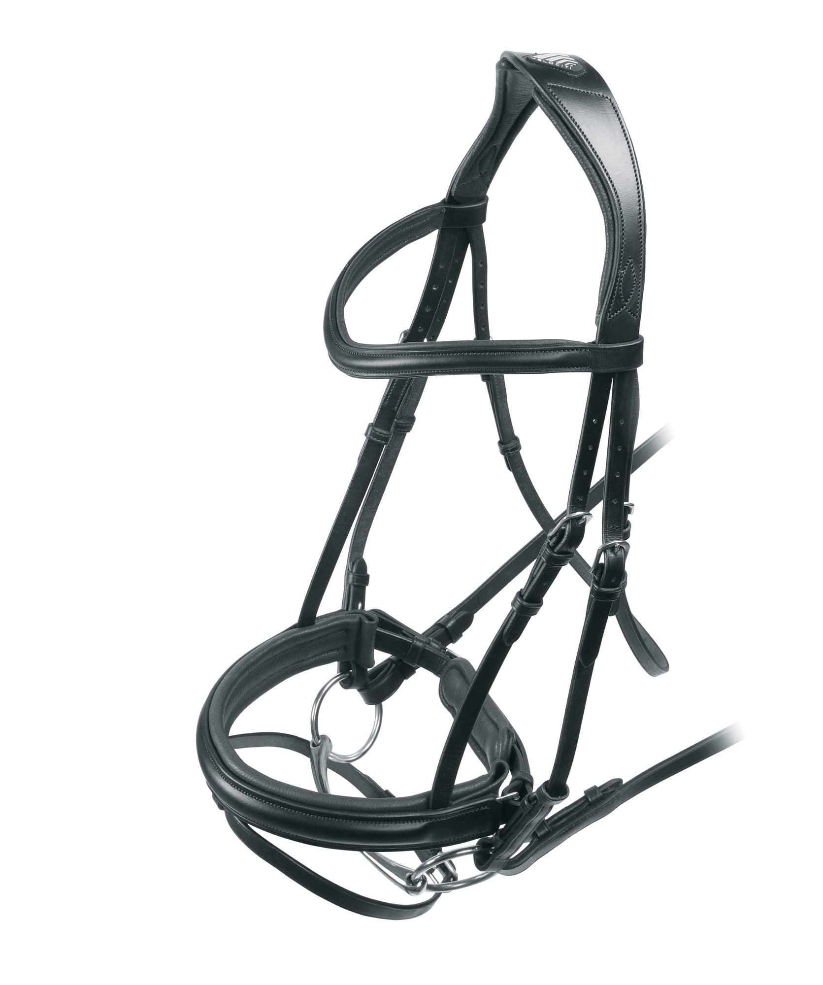 Velociti RAPIDA Dressage Bridle with Flash