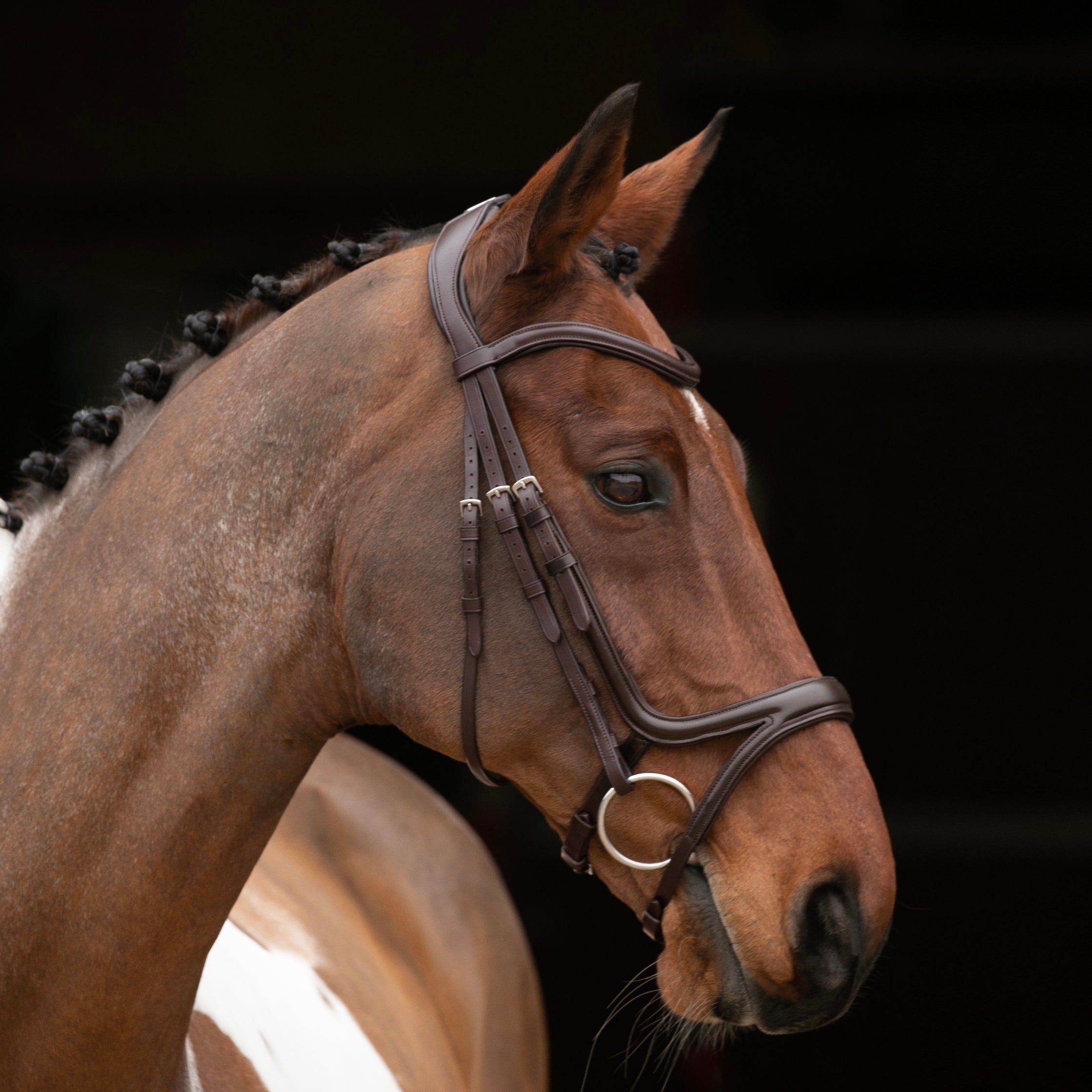 Velociti RAPIDA Comfort Flash Bridle