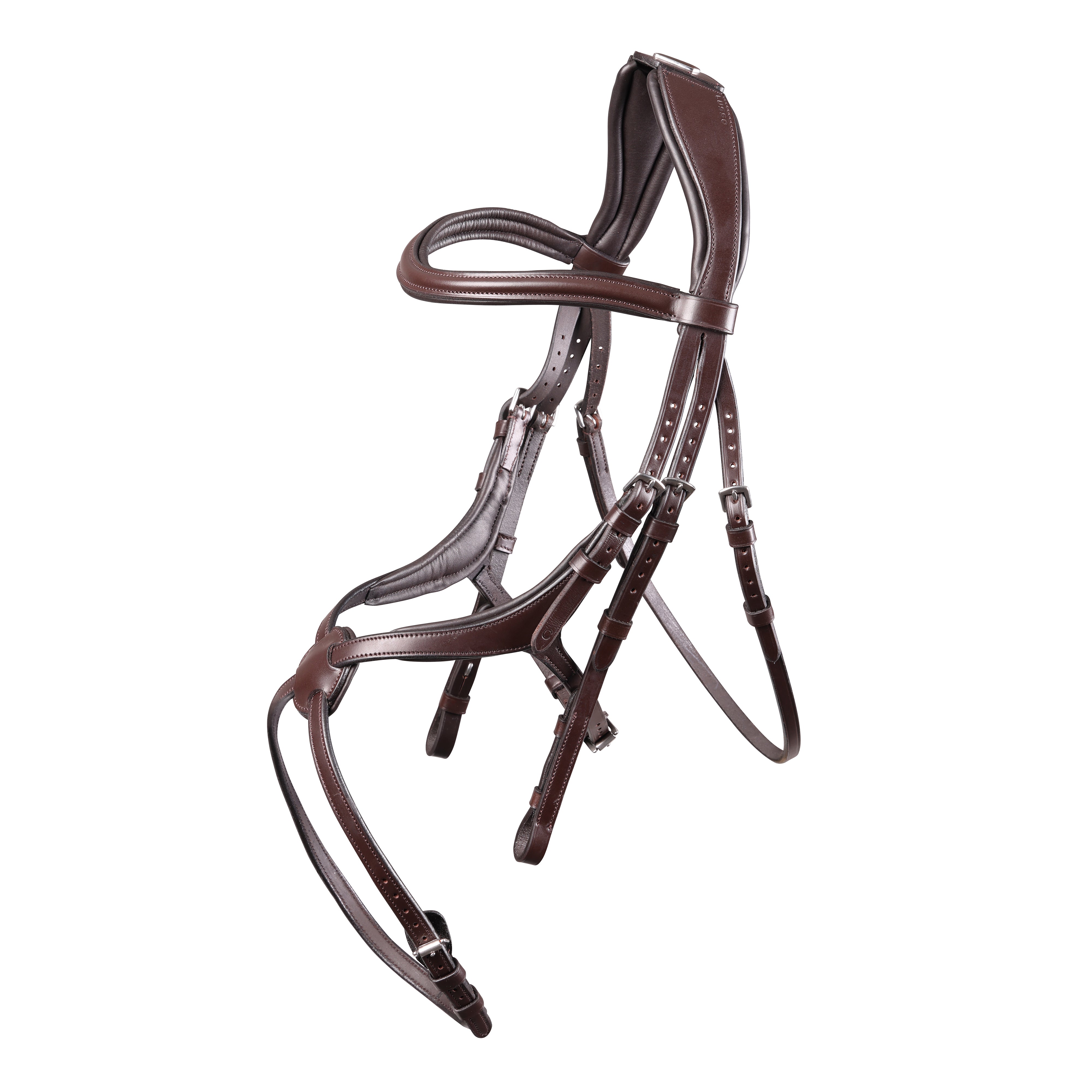 Velociti Lusso Grackle Bridle