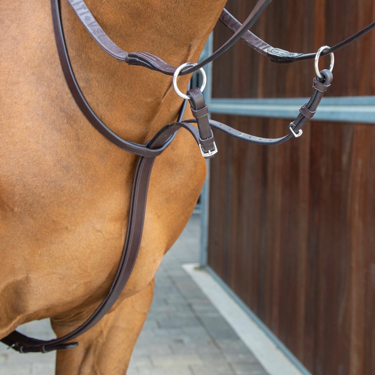 Shires Velociti Gara bavaglino martingale | 2 colori | 2 taglie Shires Velociti Gara bavaglino martingale | 2 colori | 2 taglie