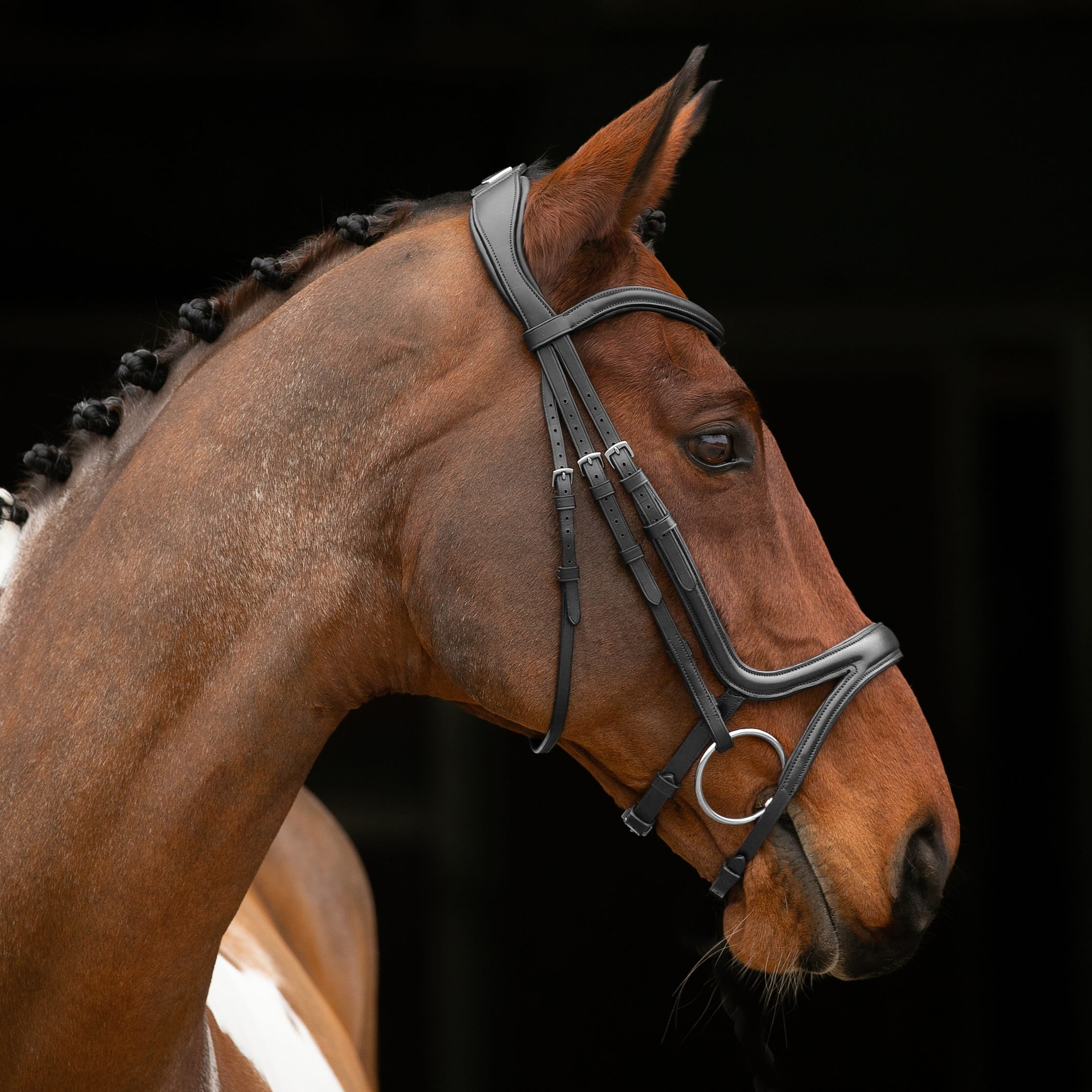 Velociti Lusso Comfort Flash Bridle