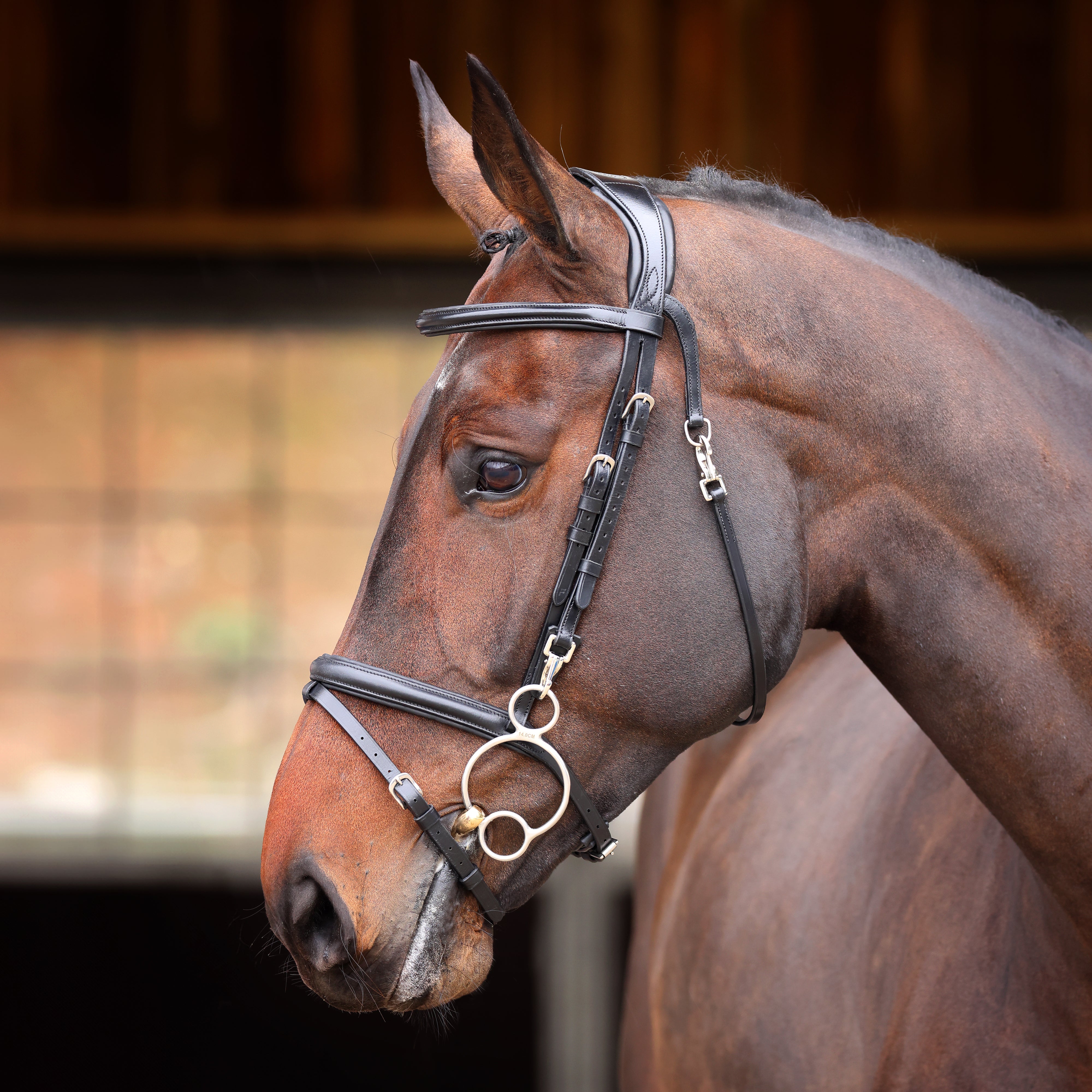 Velociti RAPIDA Training Bridle