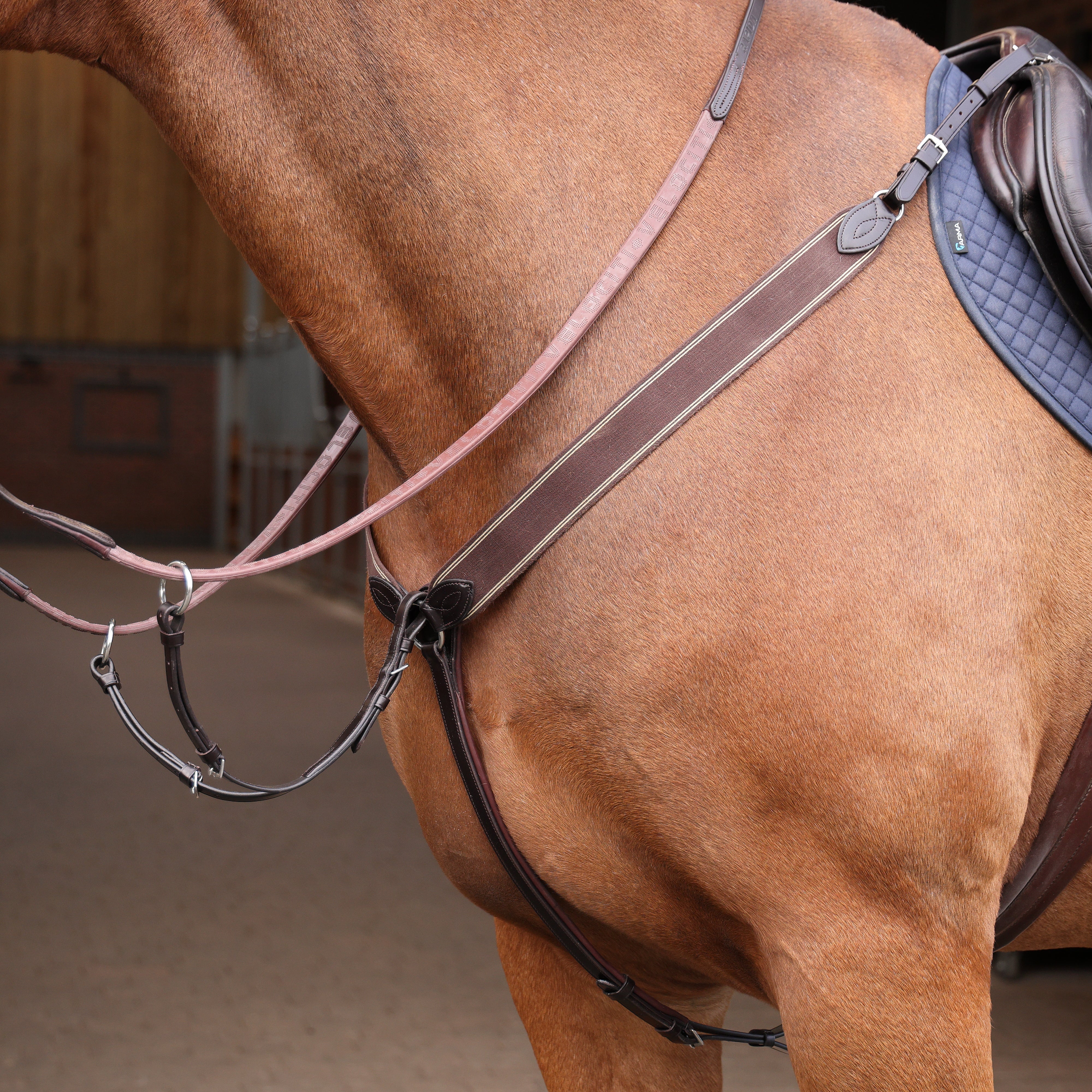 Lusso Three Point Elastic Breastplate