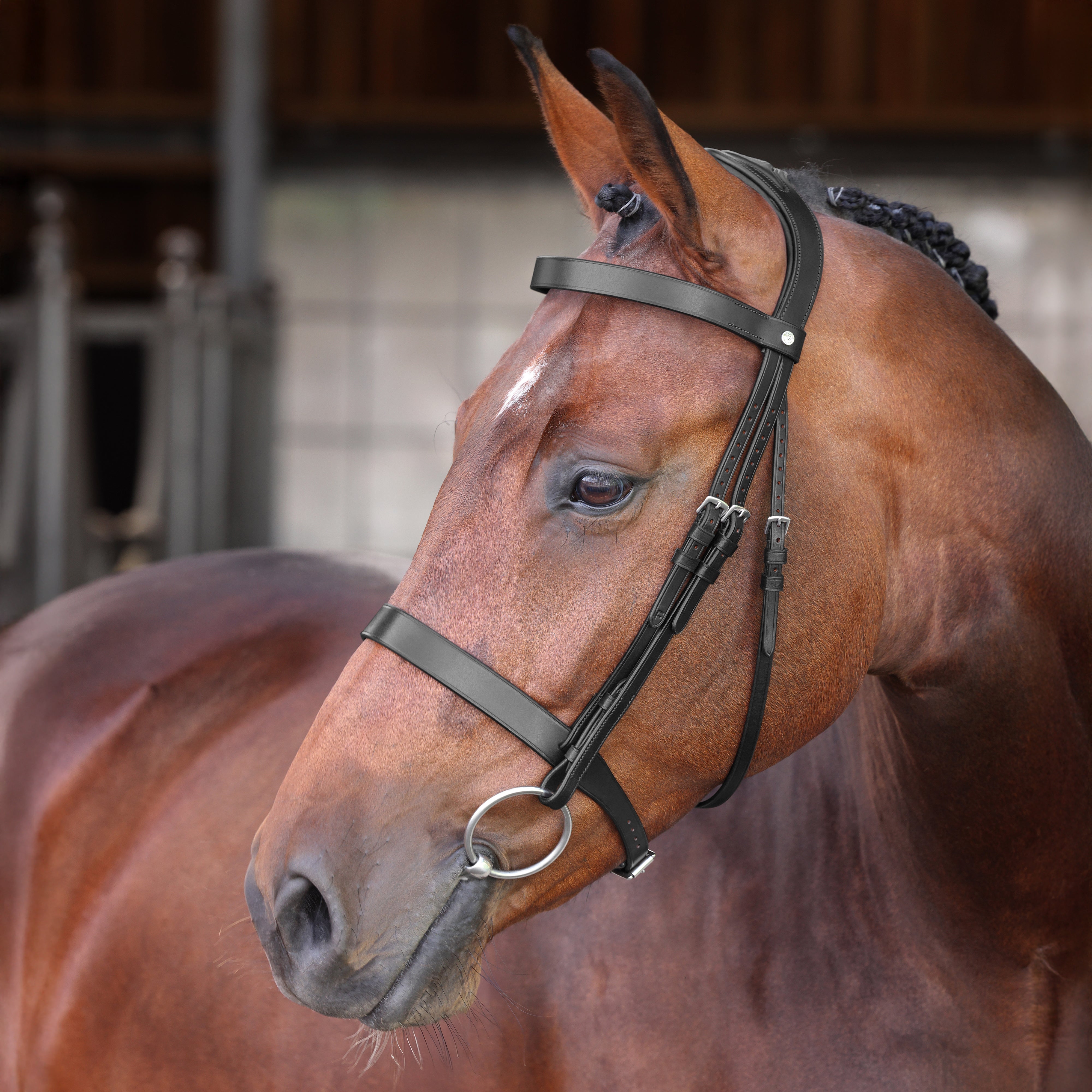Velociti LUSSO Elite Hunter Bridle