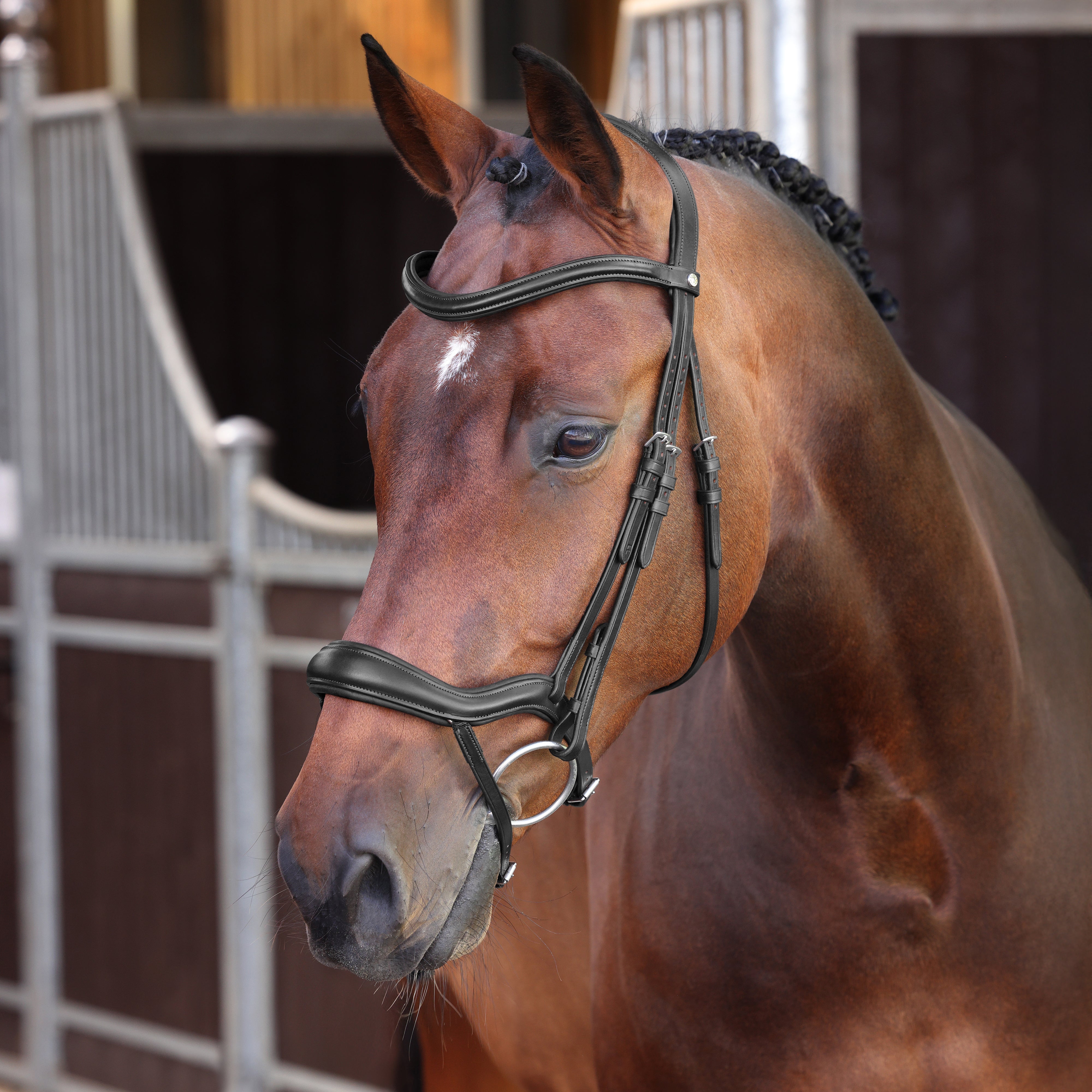 Velociti LUSSO Elite Ergonomic Flash Bridle