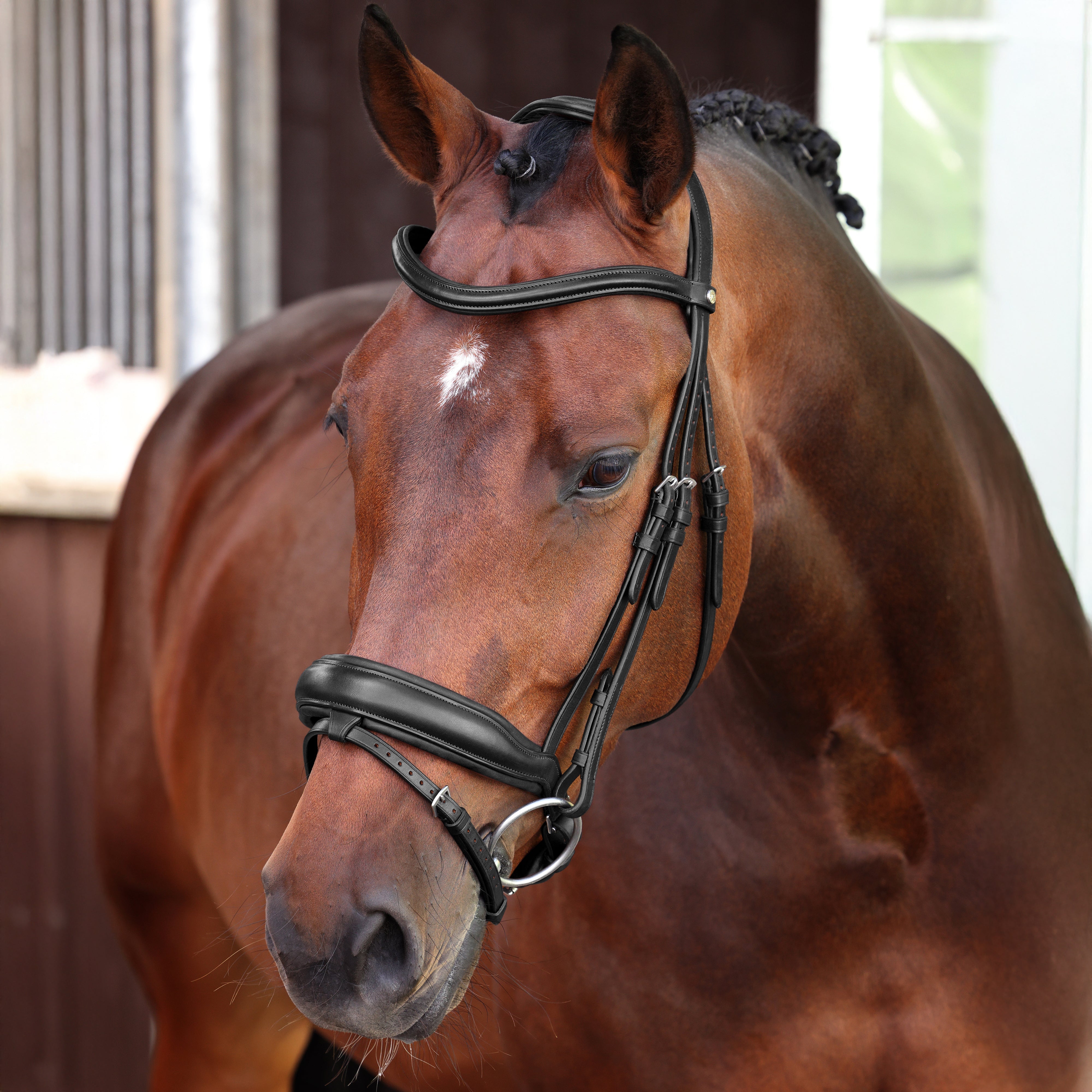 Velociti LUSSO Elite Dressage Flash Bridle