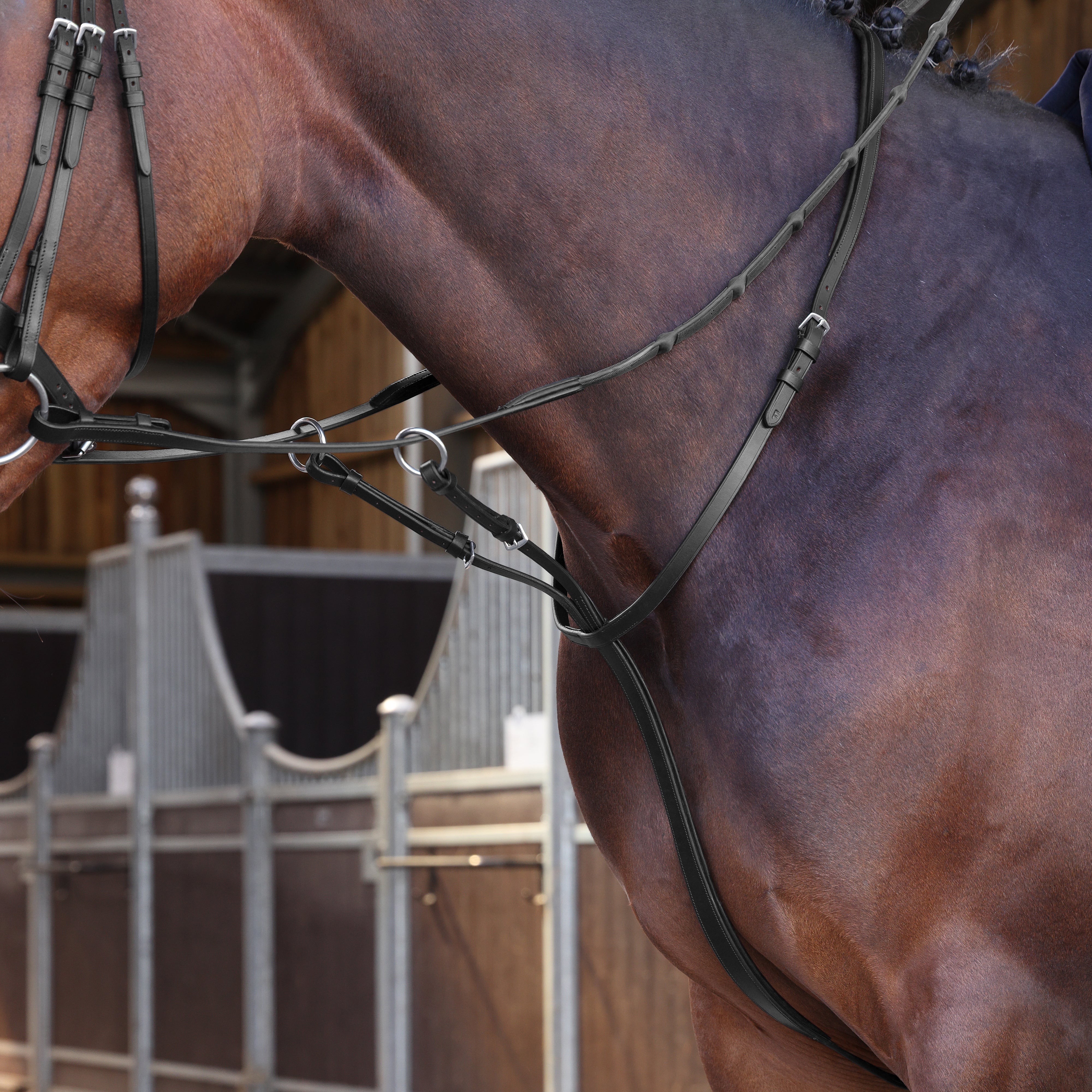 Velociti LUSSO Elite Running Martingale