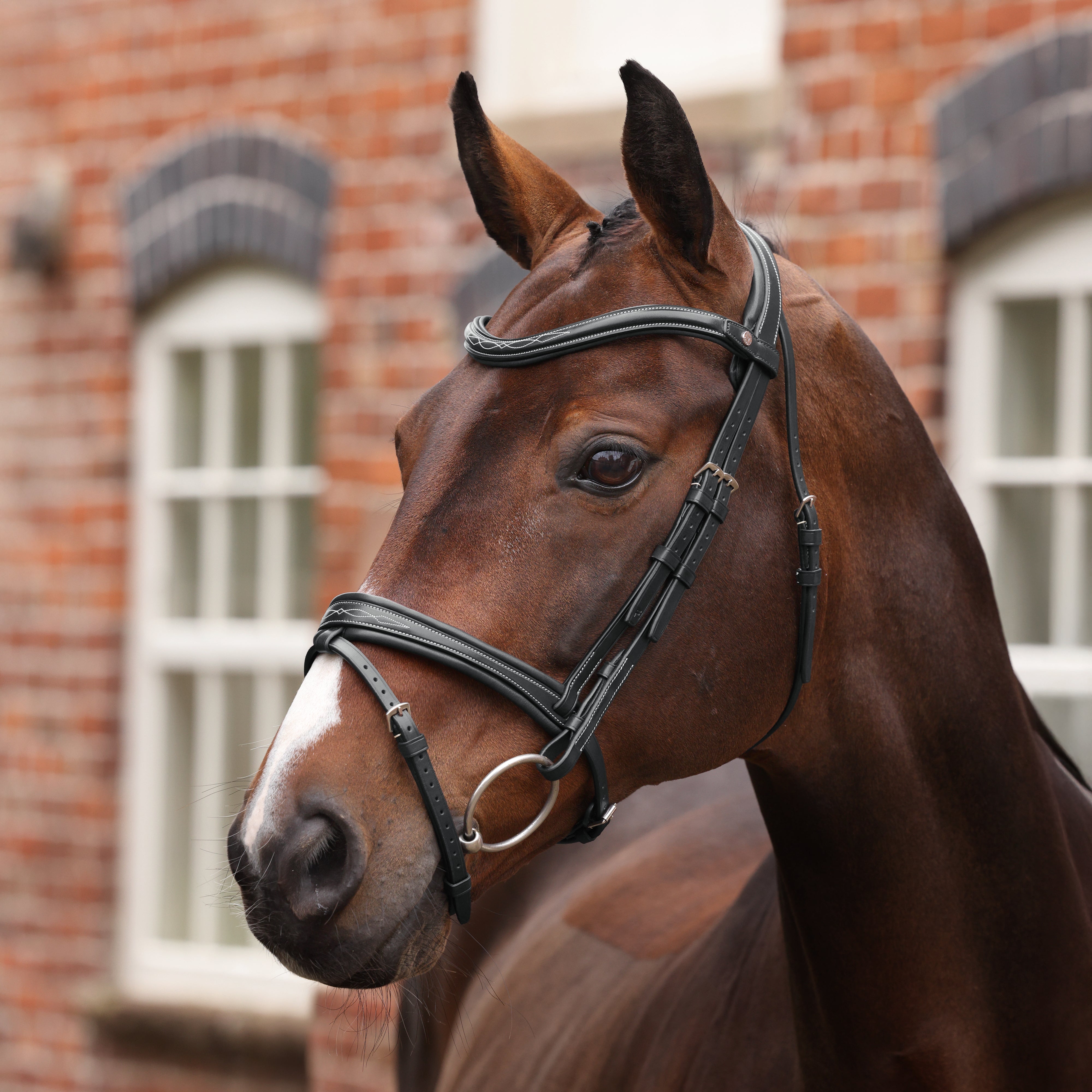Velociti LUSSO Opus 180M Padded Flash  Bridle