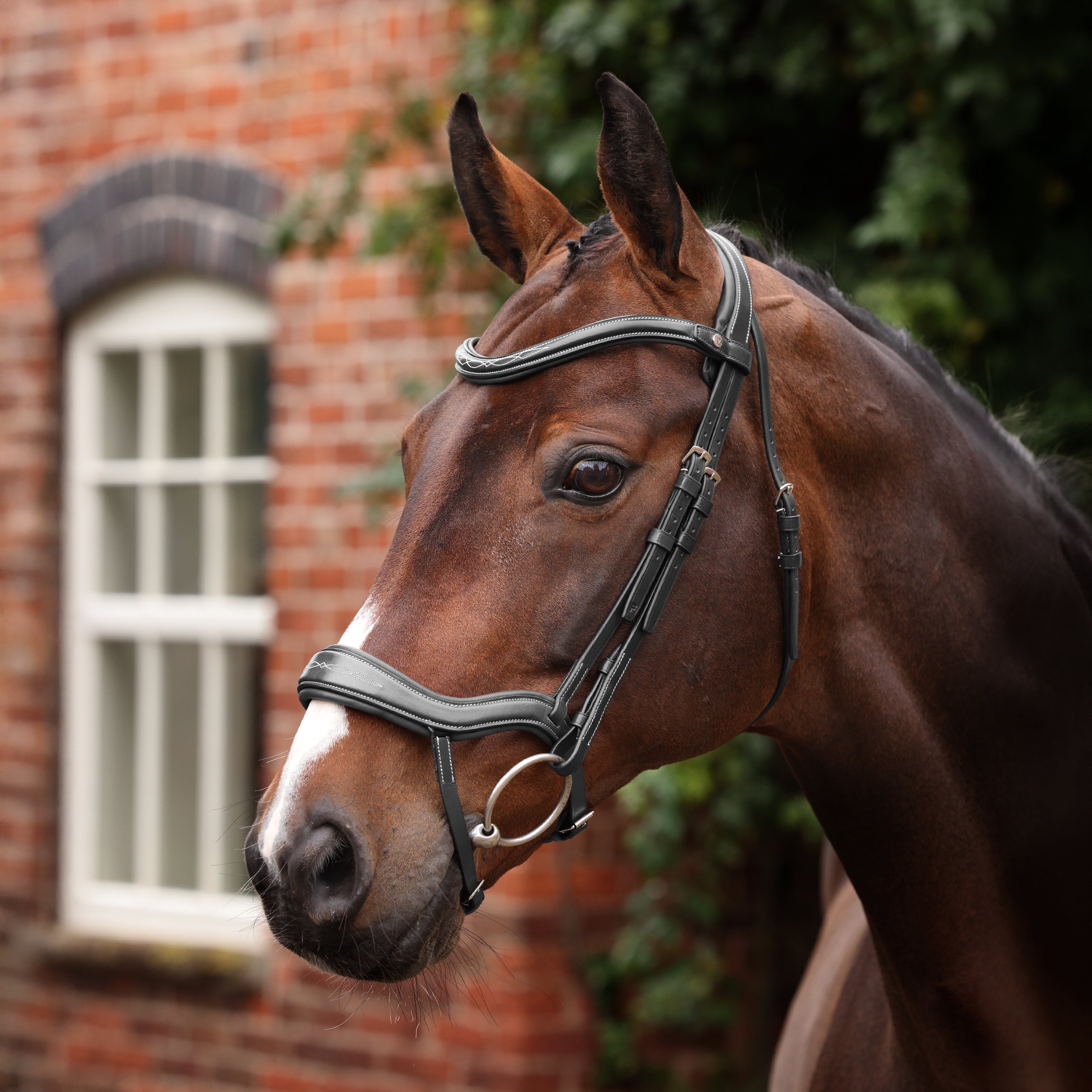 Velociti LUSSO Opus 180M Ergonomic Flash Bridle
