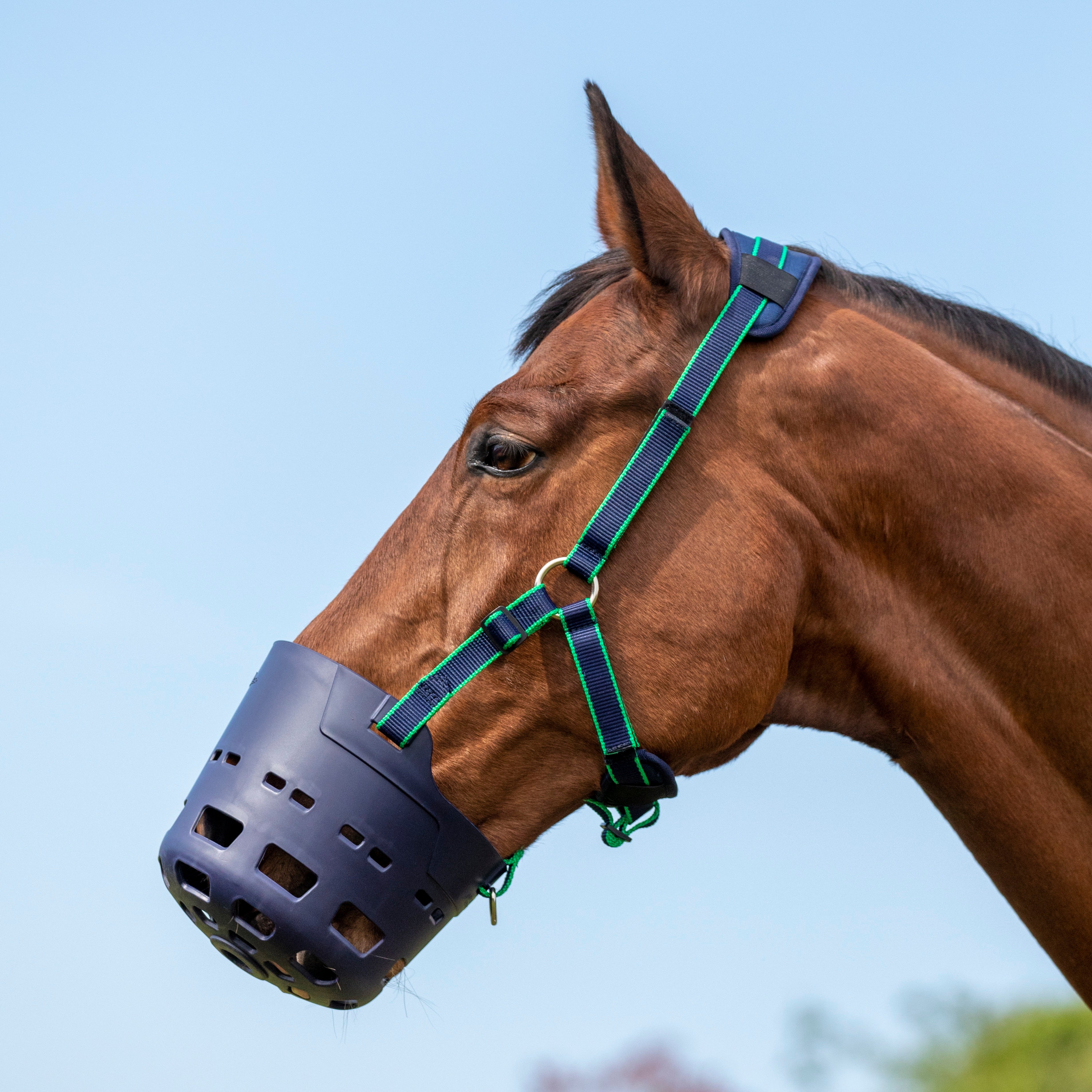 Flexi Grazer Muzzle