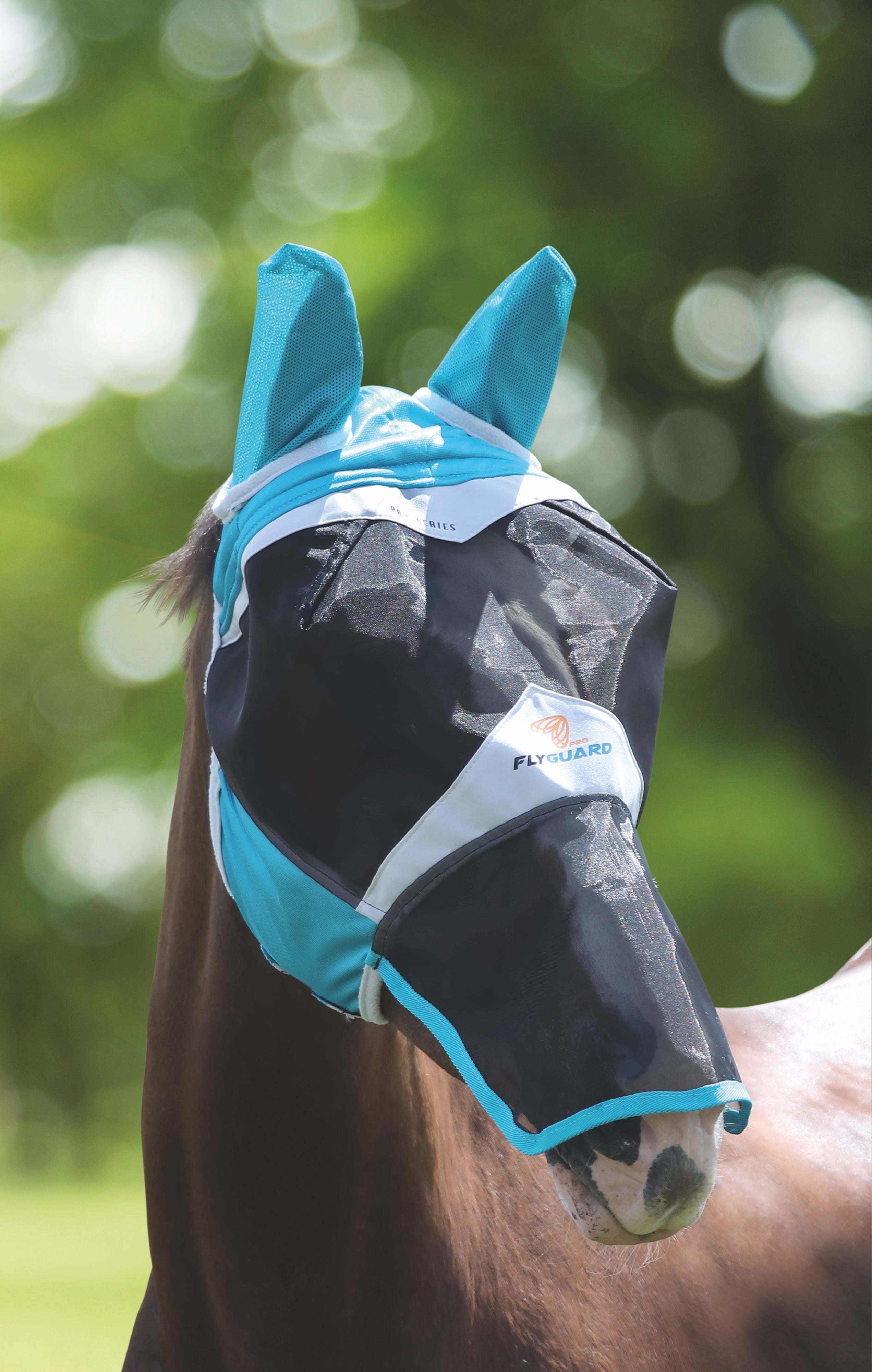 Fly Masks