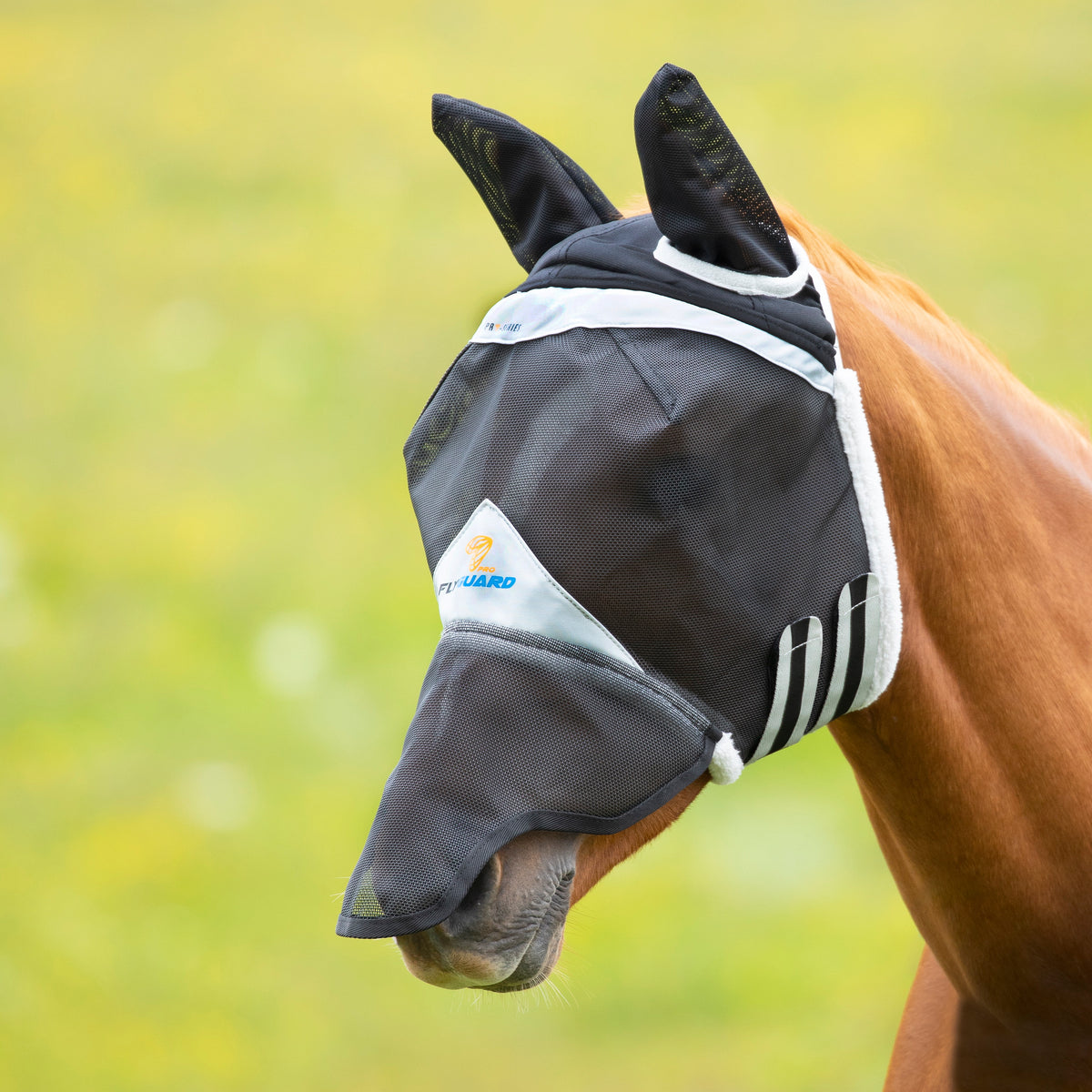 FlyGuard Pro | Fly Masks, Comfort & Protection