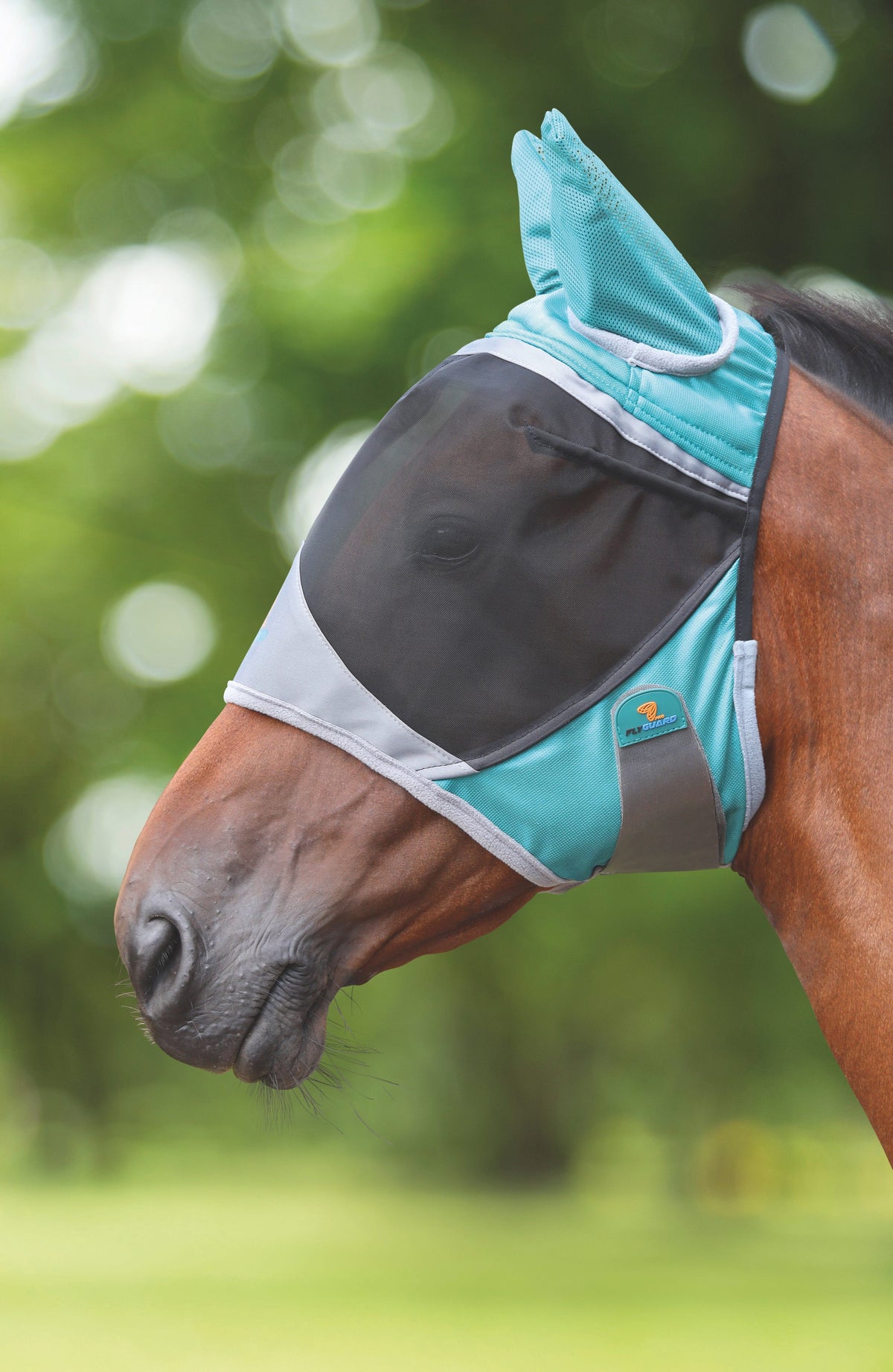 Fly Protector FlyGuard Pro | Fly Masks, Comfort & Protection
