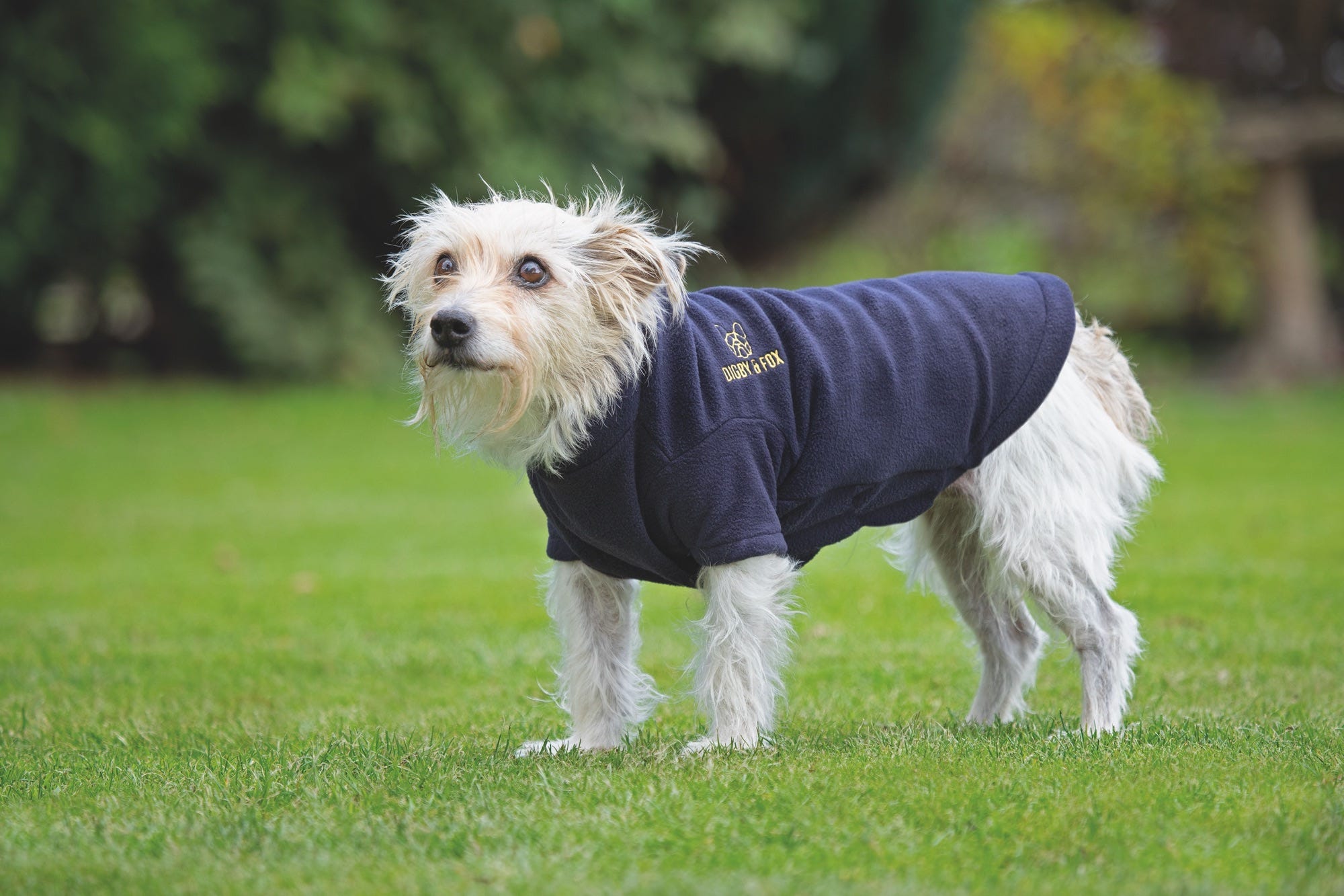 Digby & Fox Fleece Dog Jumper