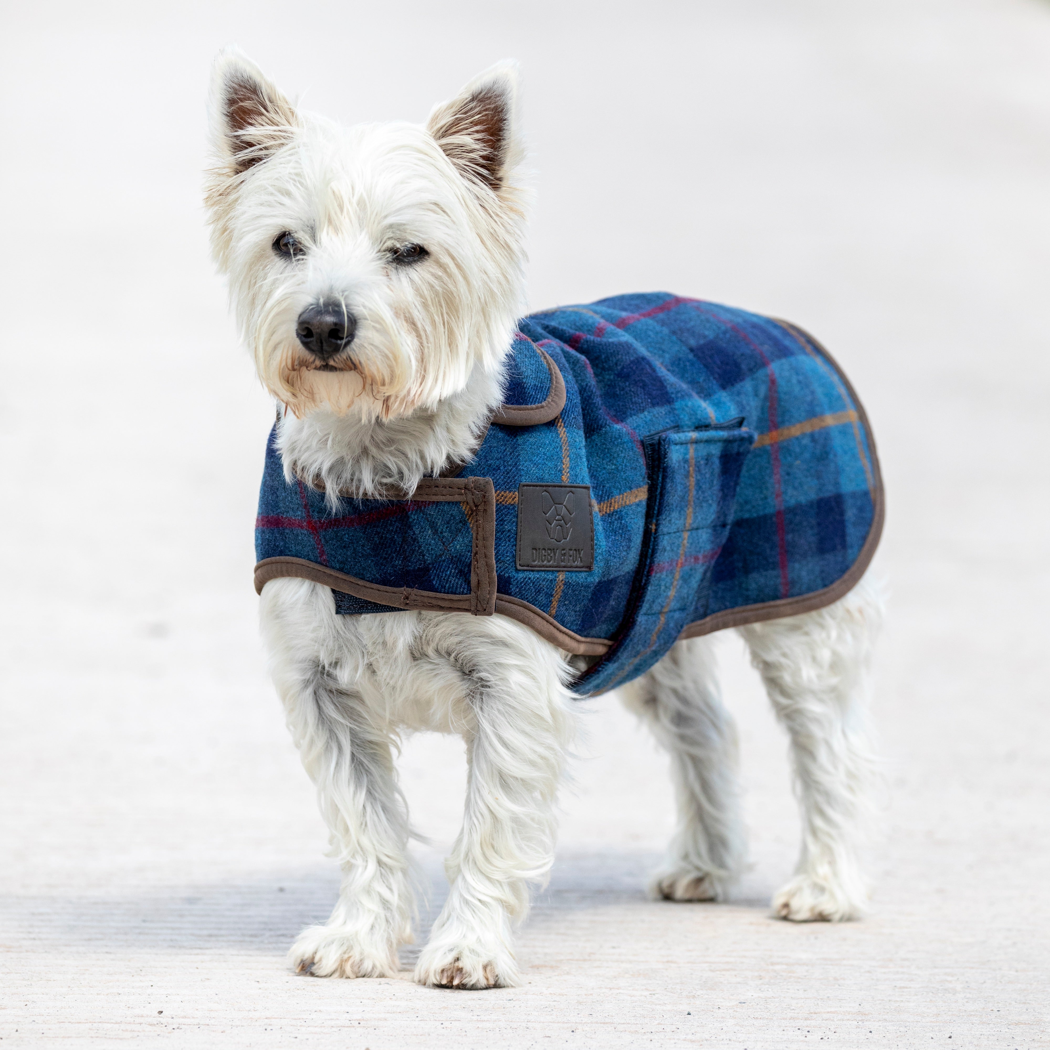 Digby & Fox Tweed Dog Coat