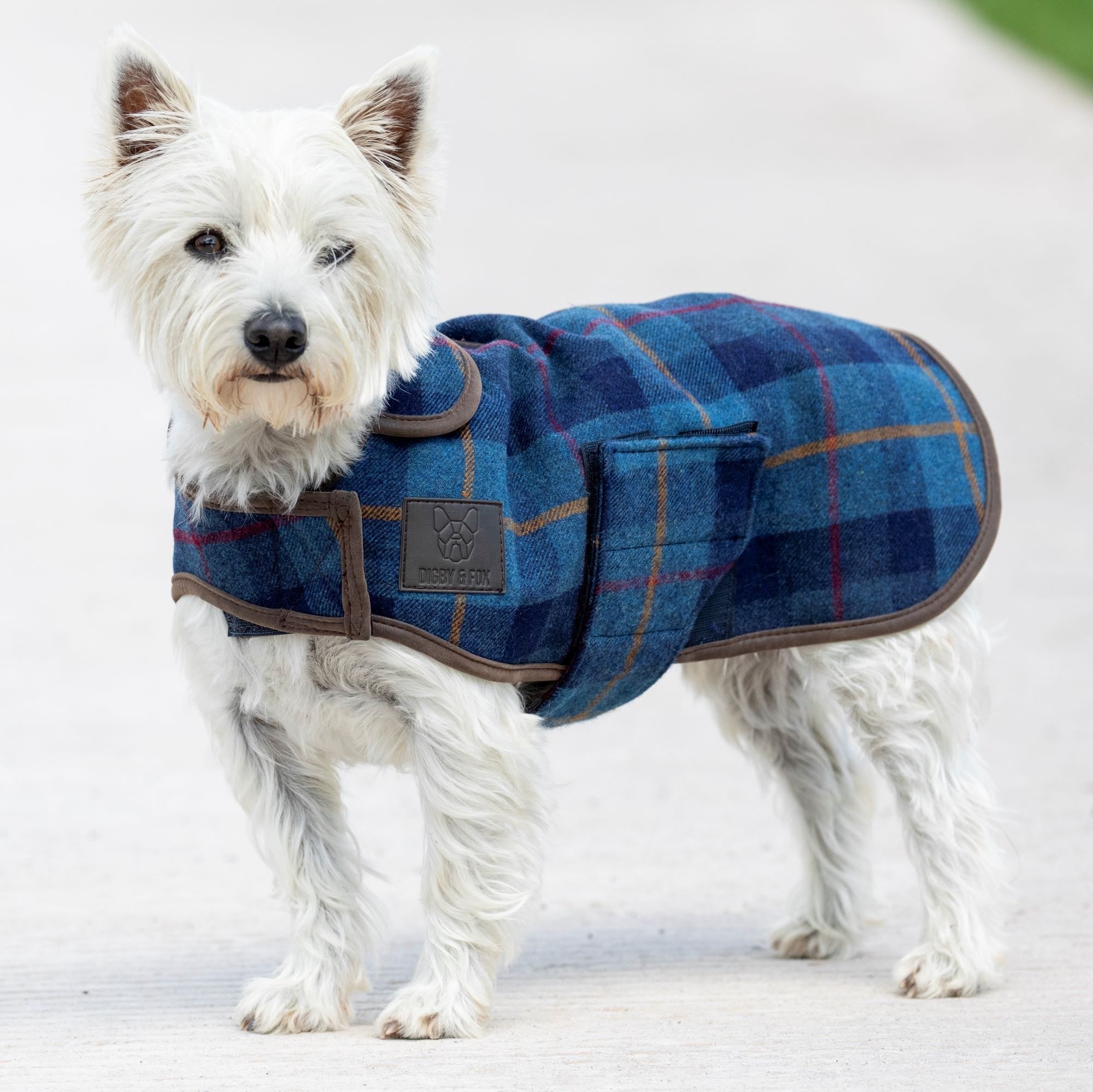Digby & Fox Tweed Dog Coat