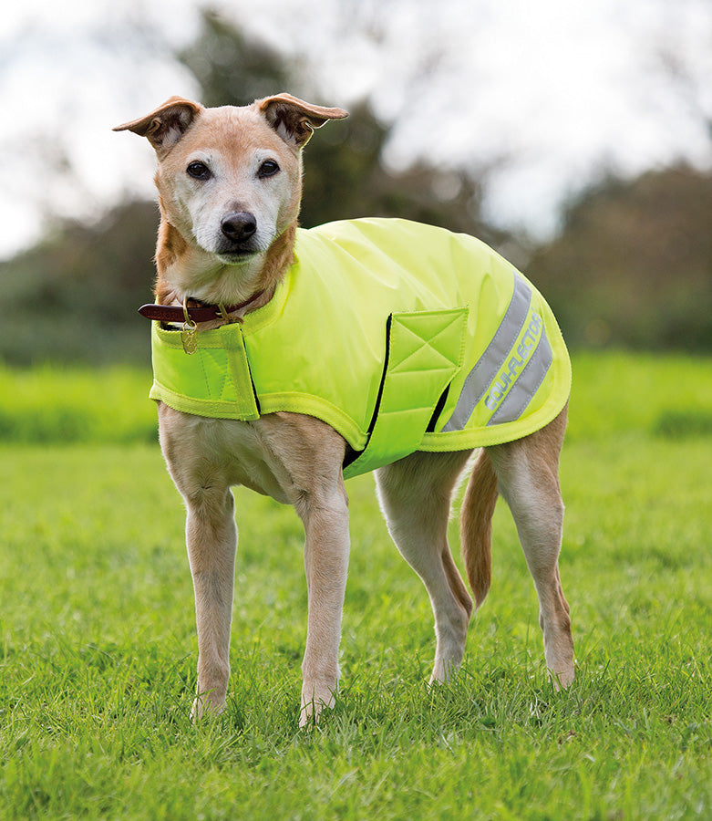 EQUI-FLECTOR Dog Coat