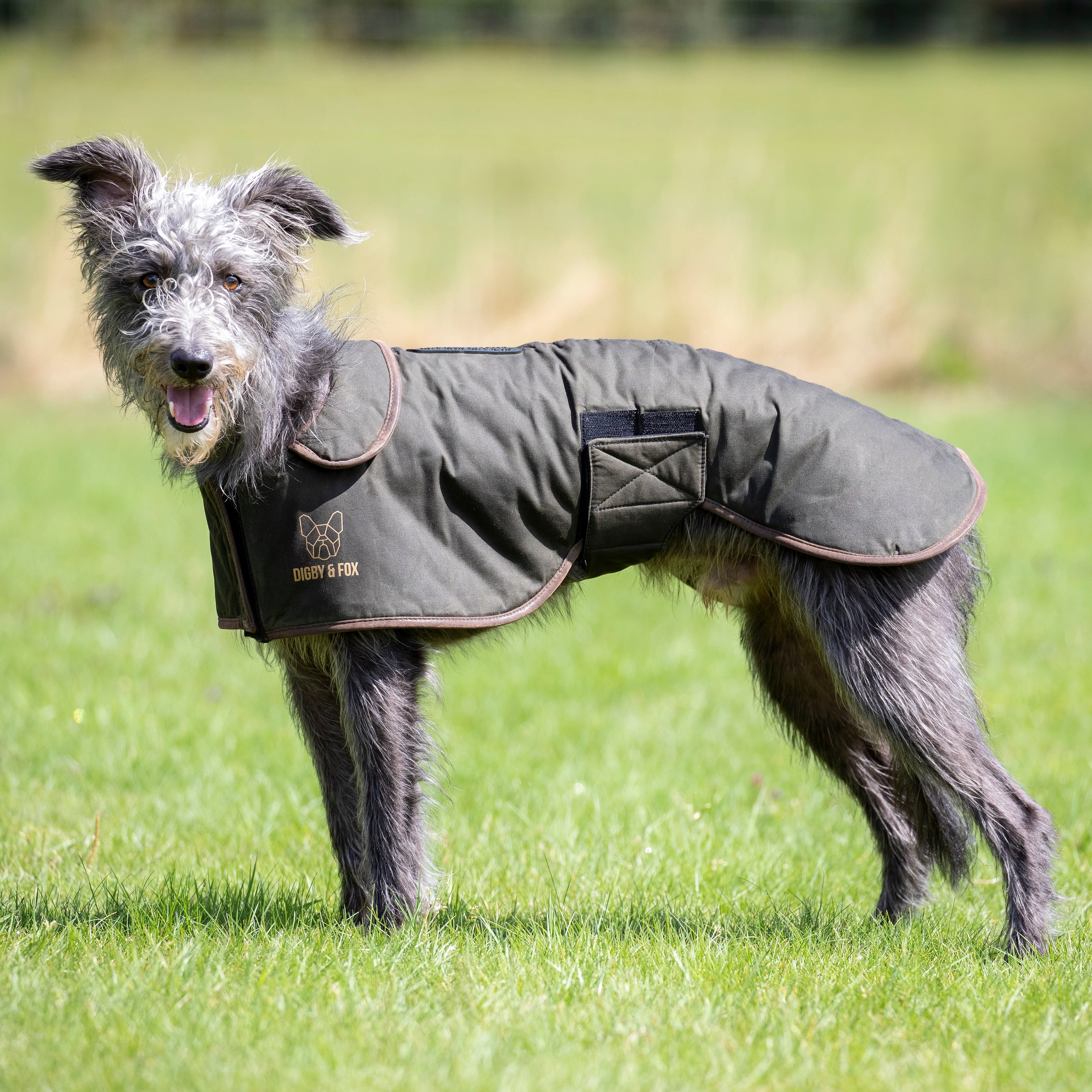 Digby & Fox Wax Greyhound Coat