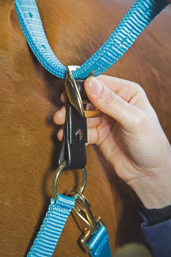 Velociti GARA Headcollar Breakaway Attachment