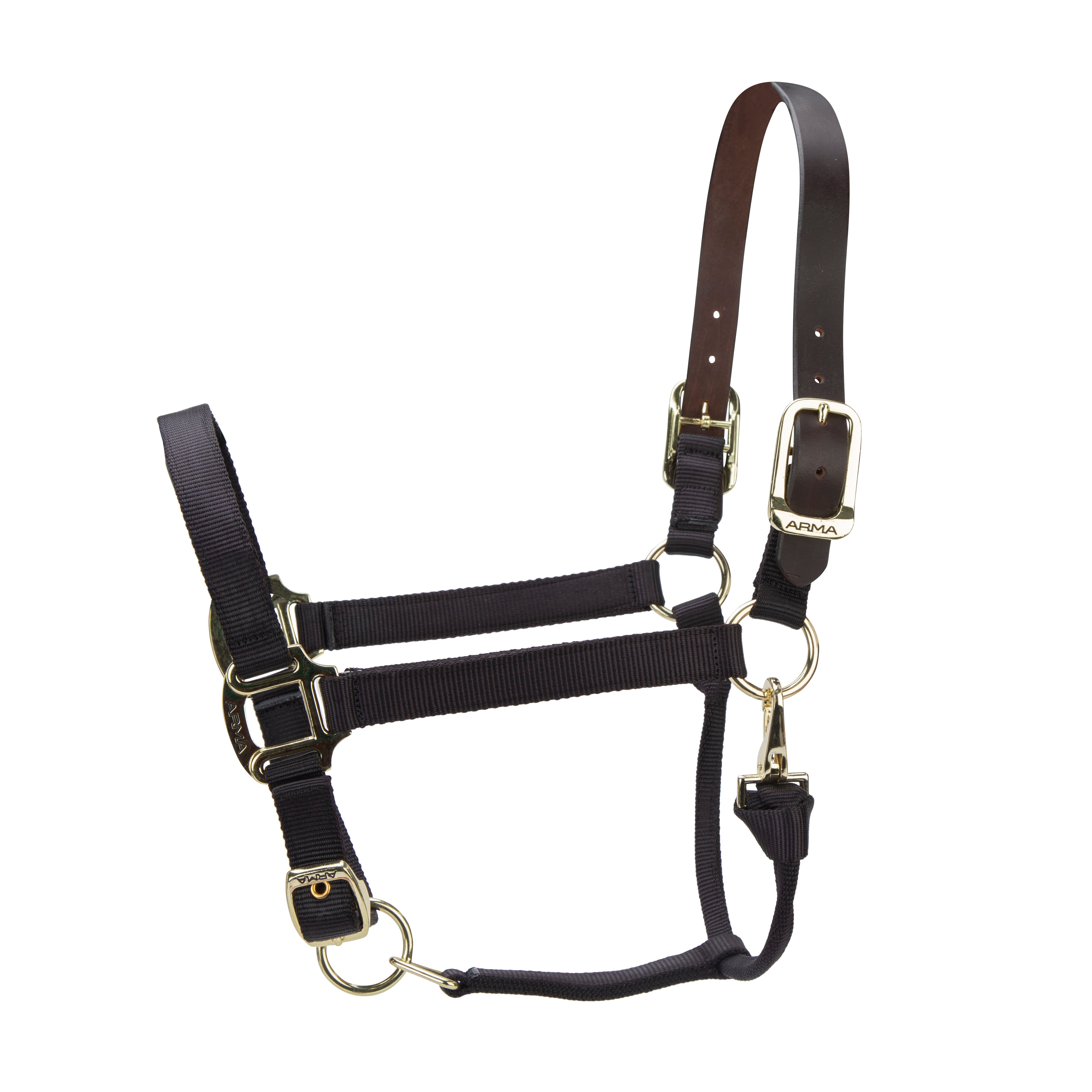 ARMA Premium Adjustable FieldSafe Headcollar