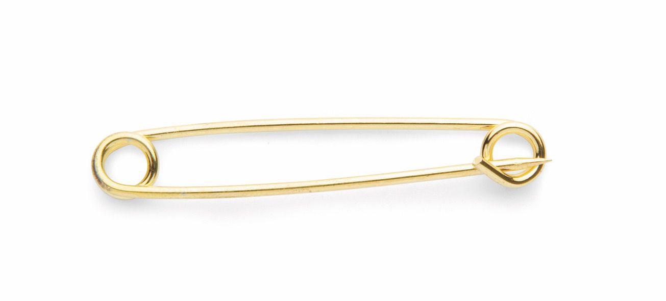 Aubrion Plain Gold Plated Stock Pin