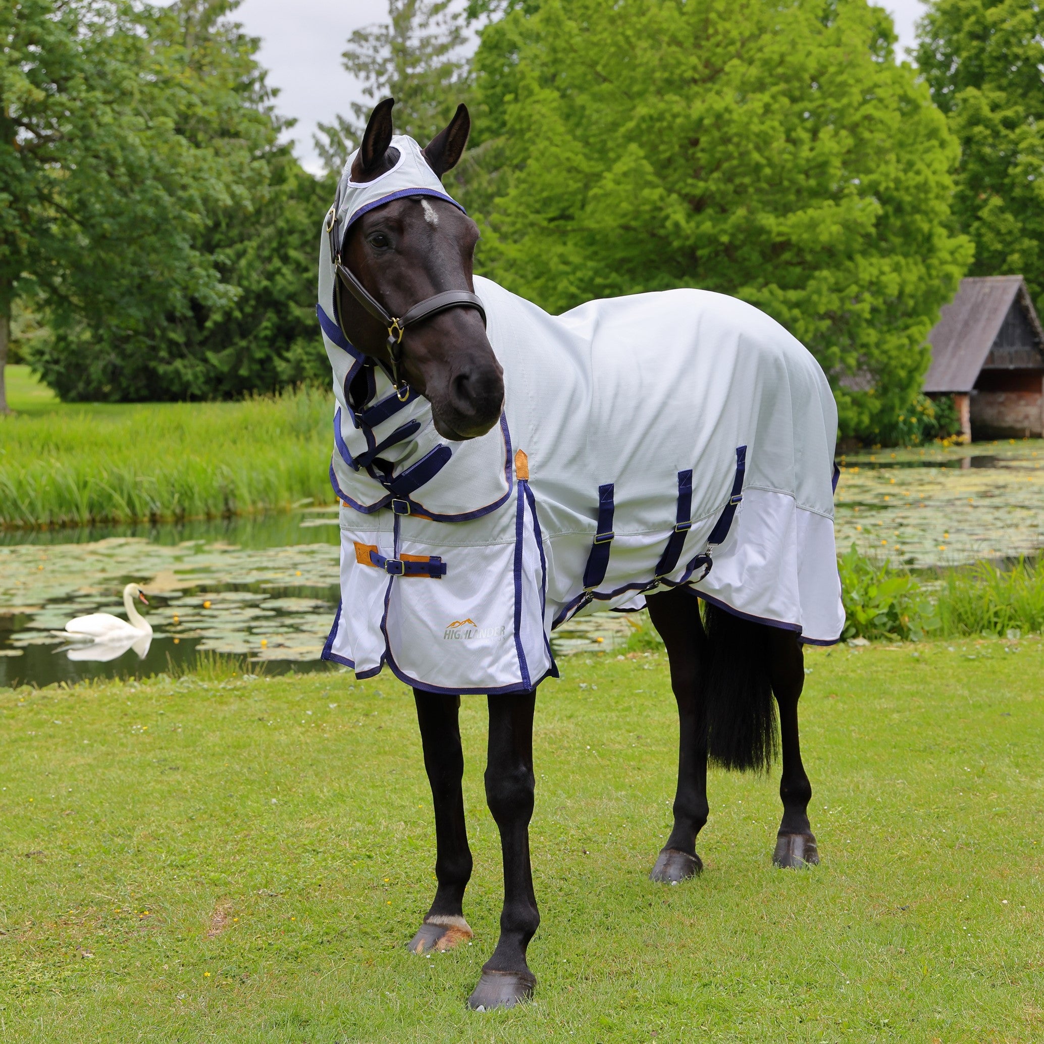 Highlander Plus Sun Shade Fly Combo Rug