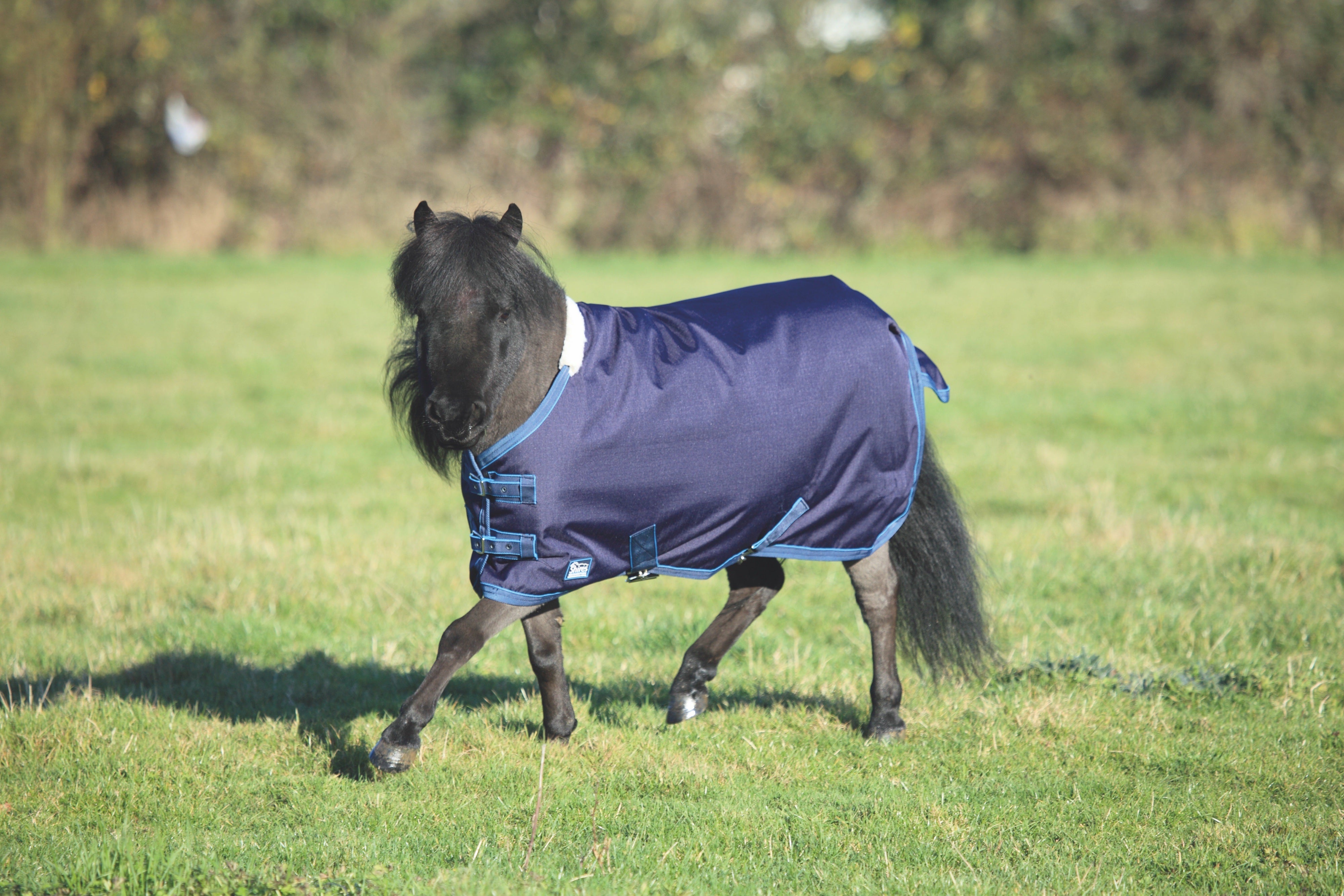 Tempest Original Lite Mini Turnout Rug