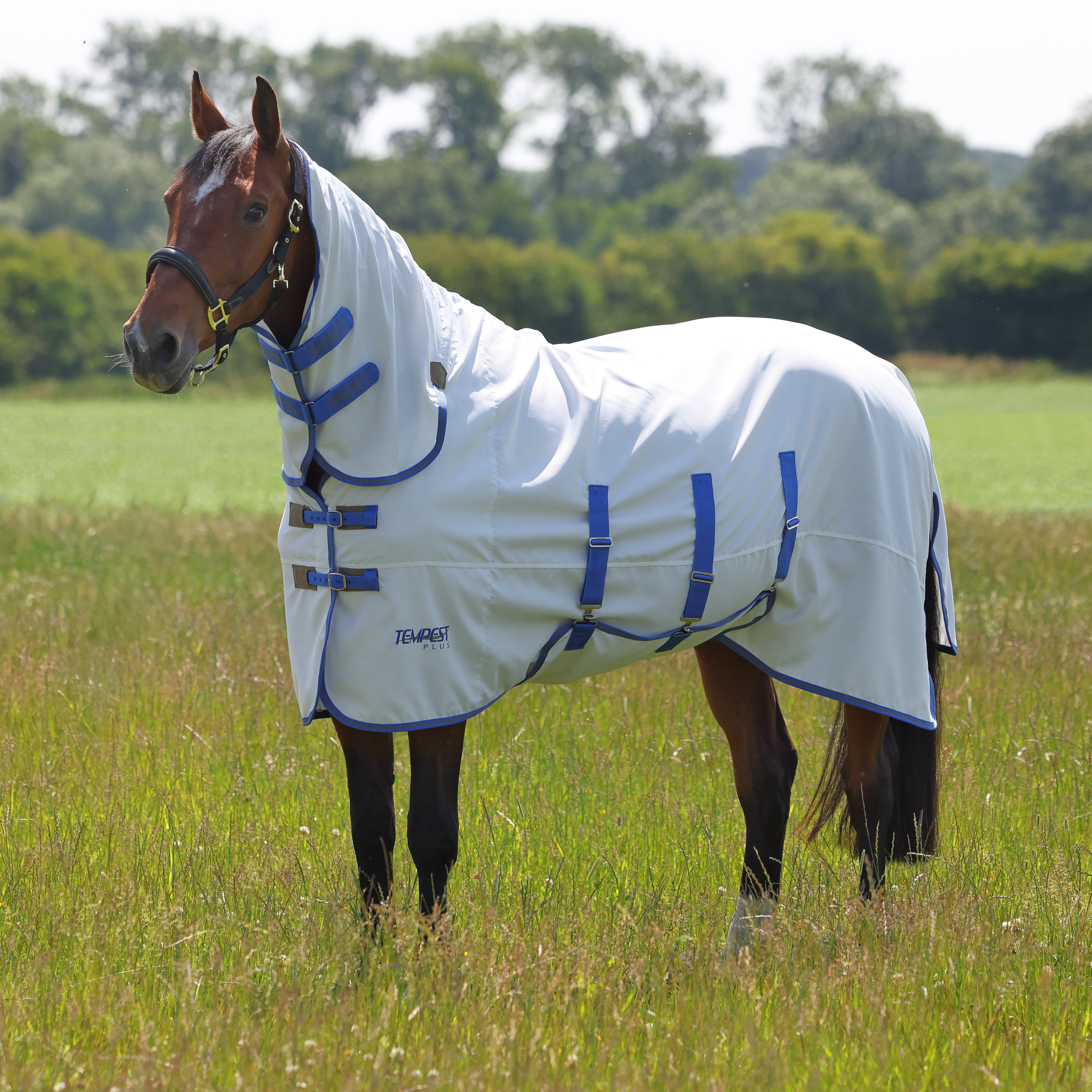 Shires Tempest Plus Sweet-itch Combo Rug