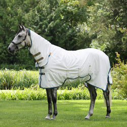 Tempest Plus Sweet-itch Combo Rug