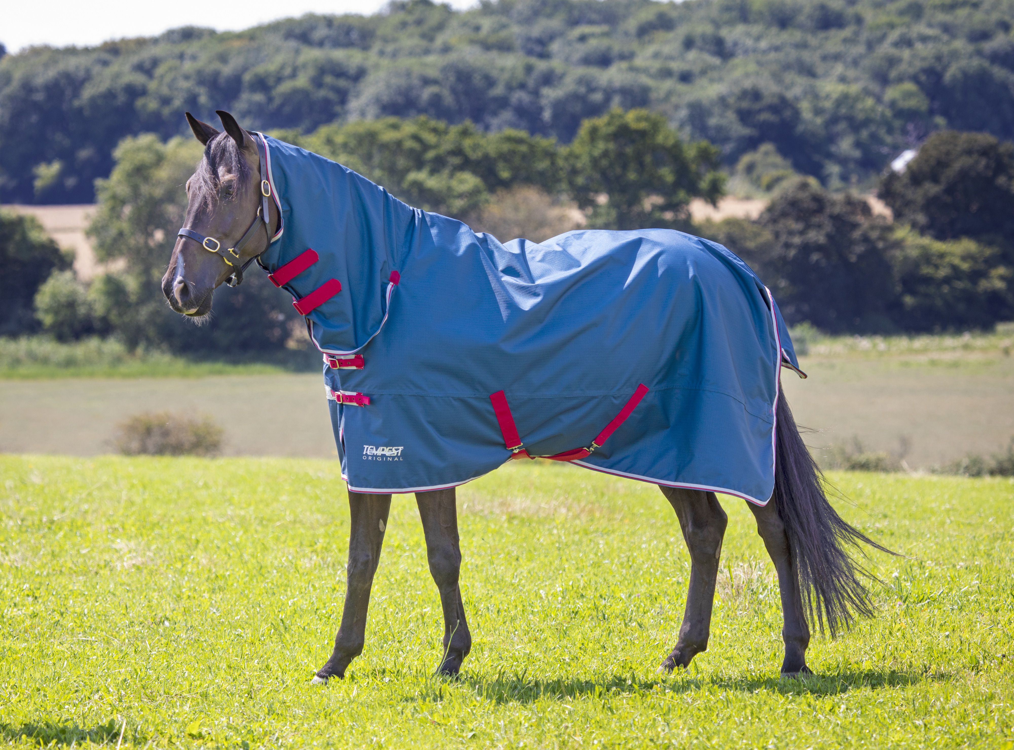 Tempest Original Lite Turnout Combo Rug