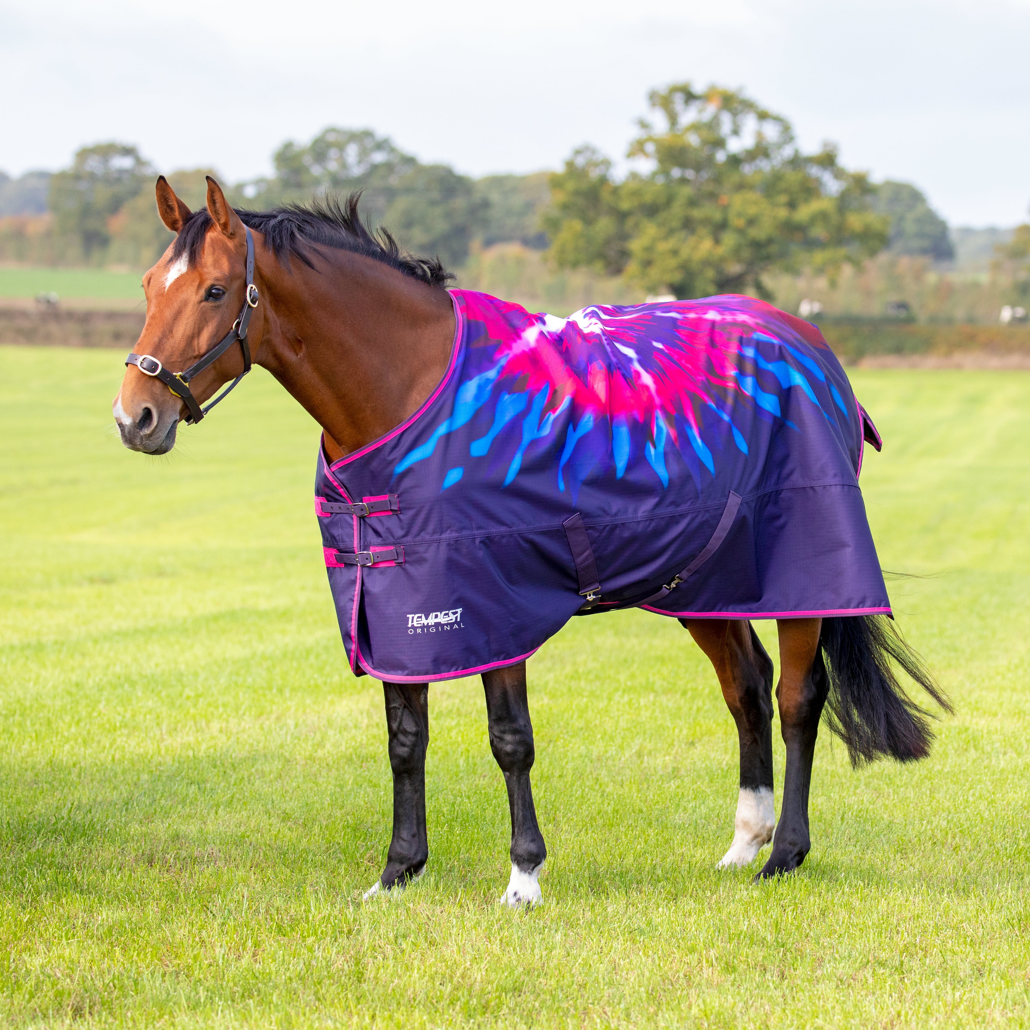 Tempest Original Lite Turnout Rug