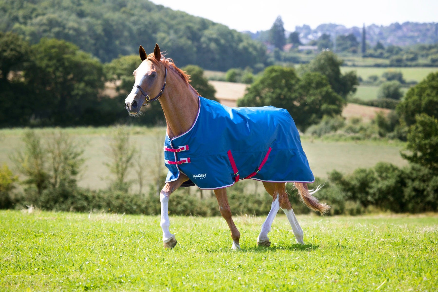 Tempest Original Lite Turnout Rug