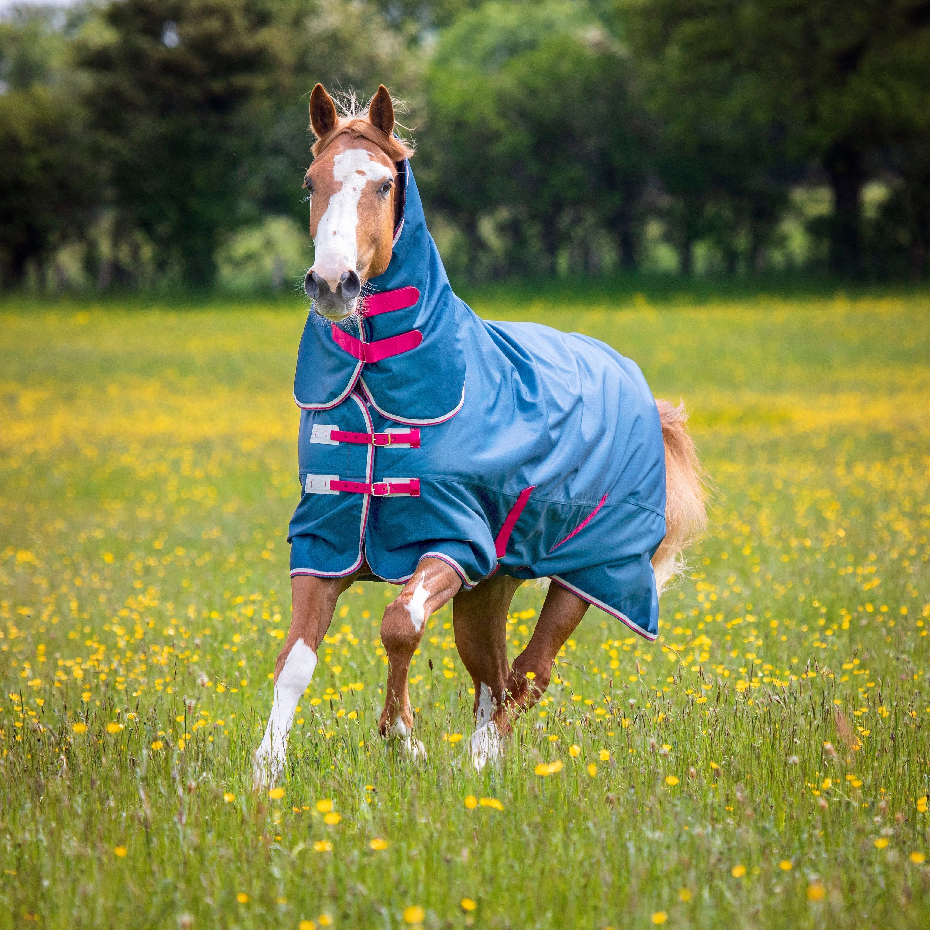 Turnout Rug Fun Pattern No Fill Turnout Rugs