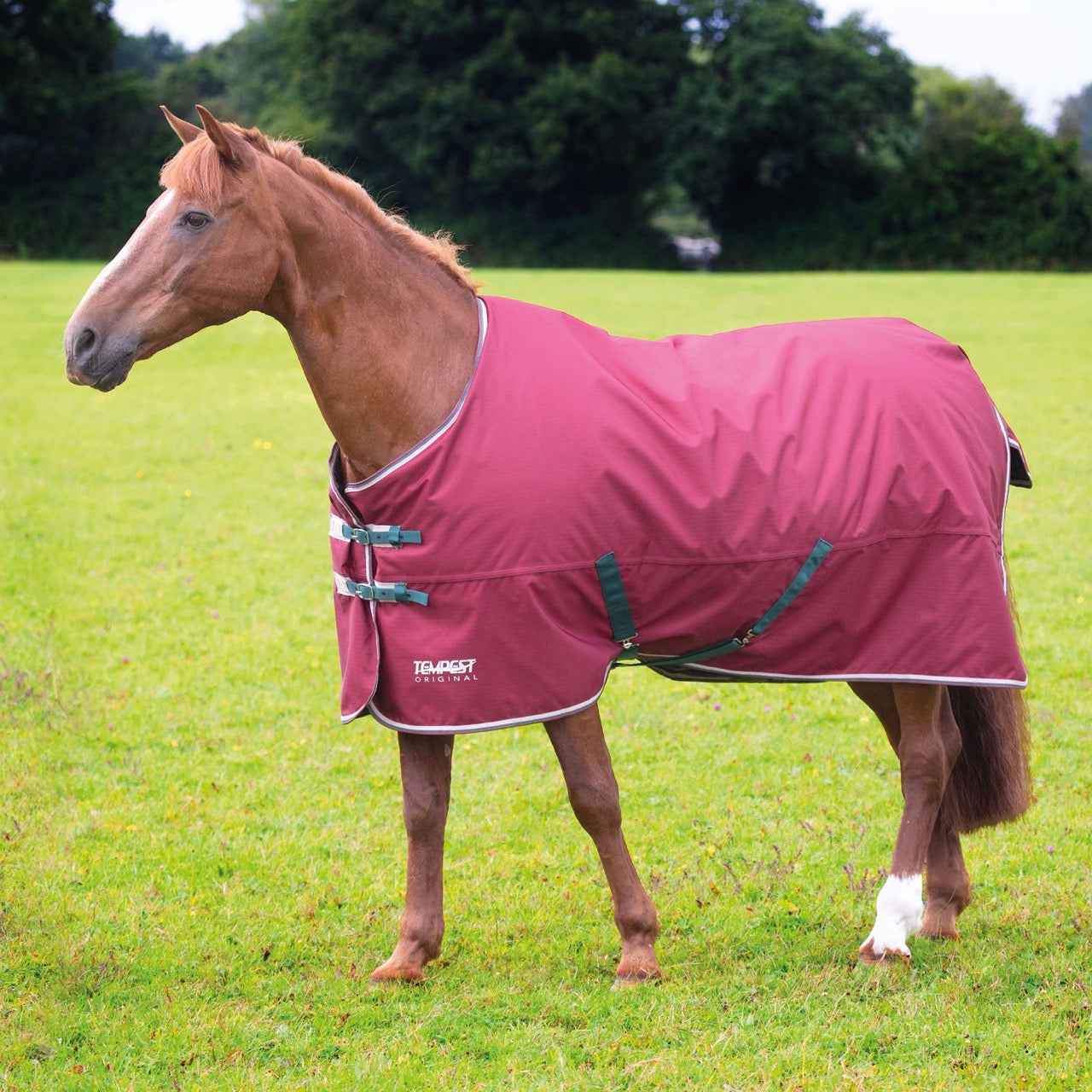 Tempest Original 200 Turnout Rug