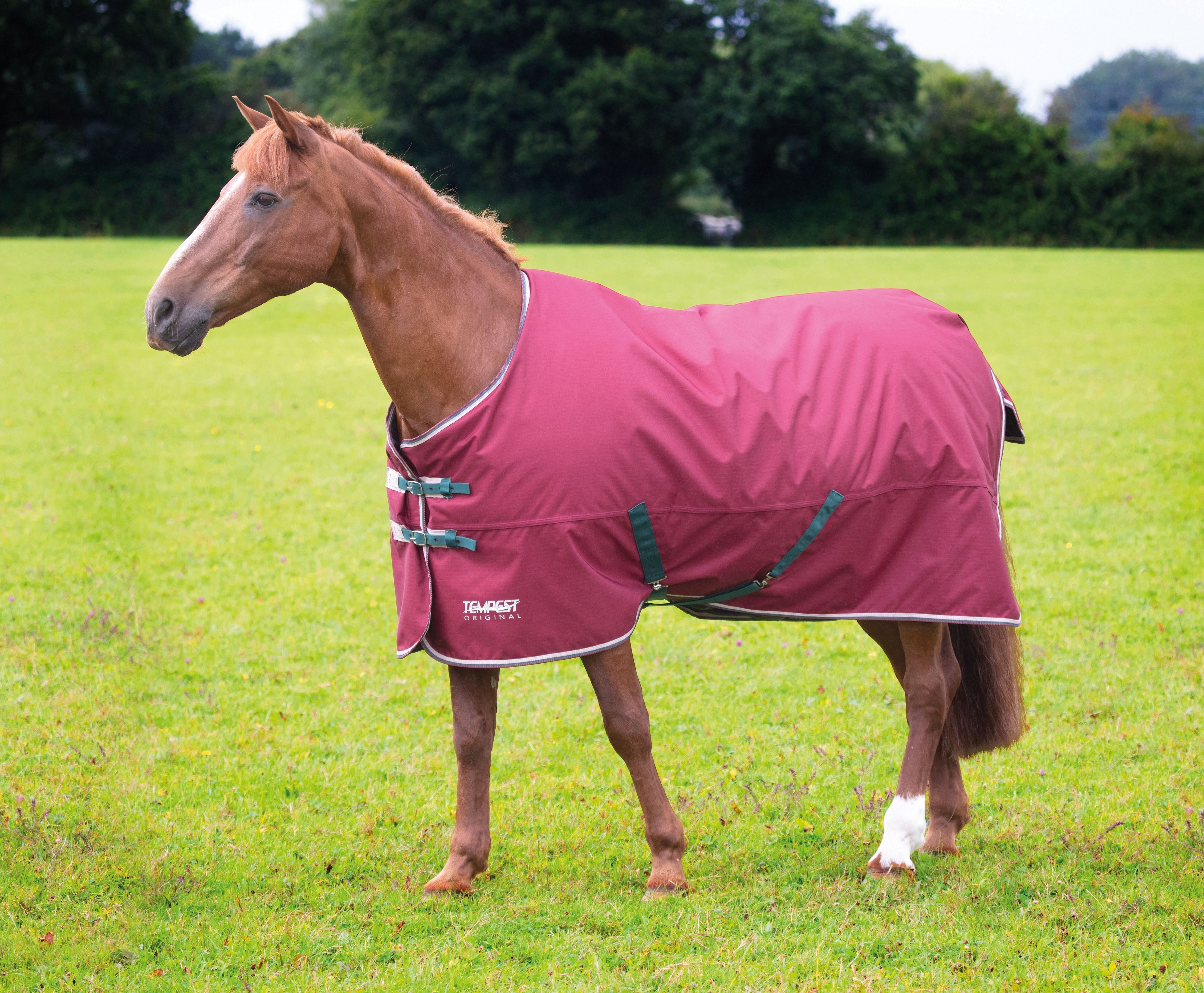 Tempest Original 200 Turnout Rug