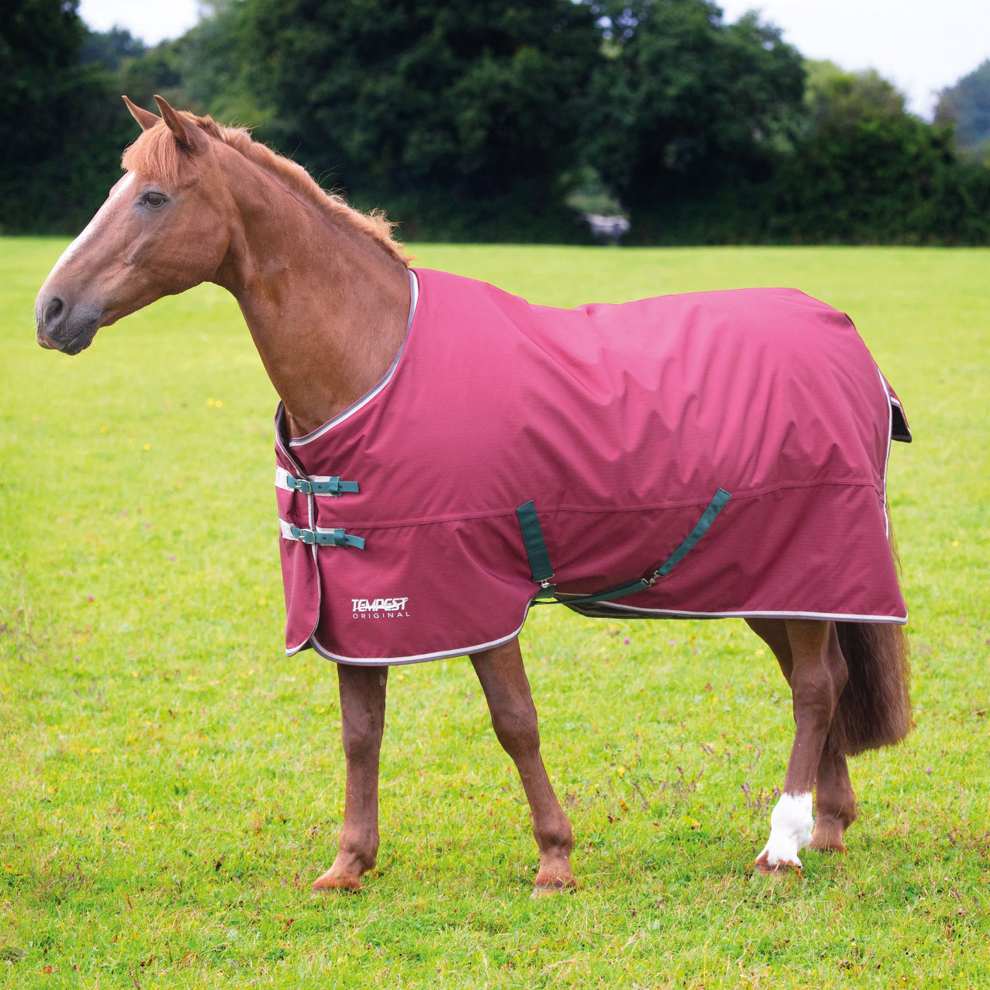 200g Turnout Rugs 200g-turnout-rugs