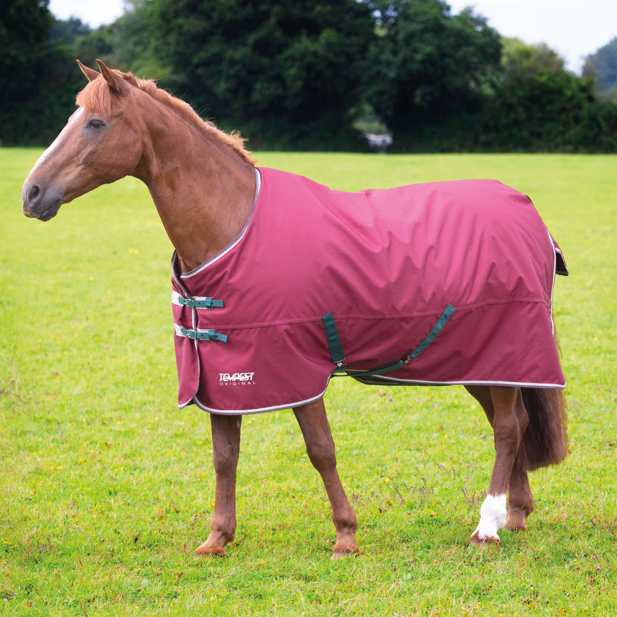 200g Turnout Rugs