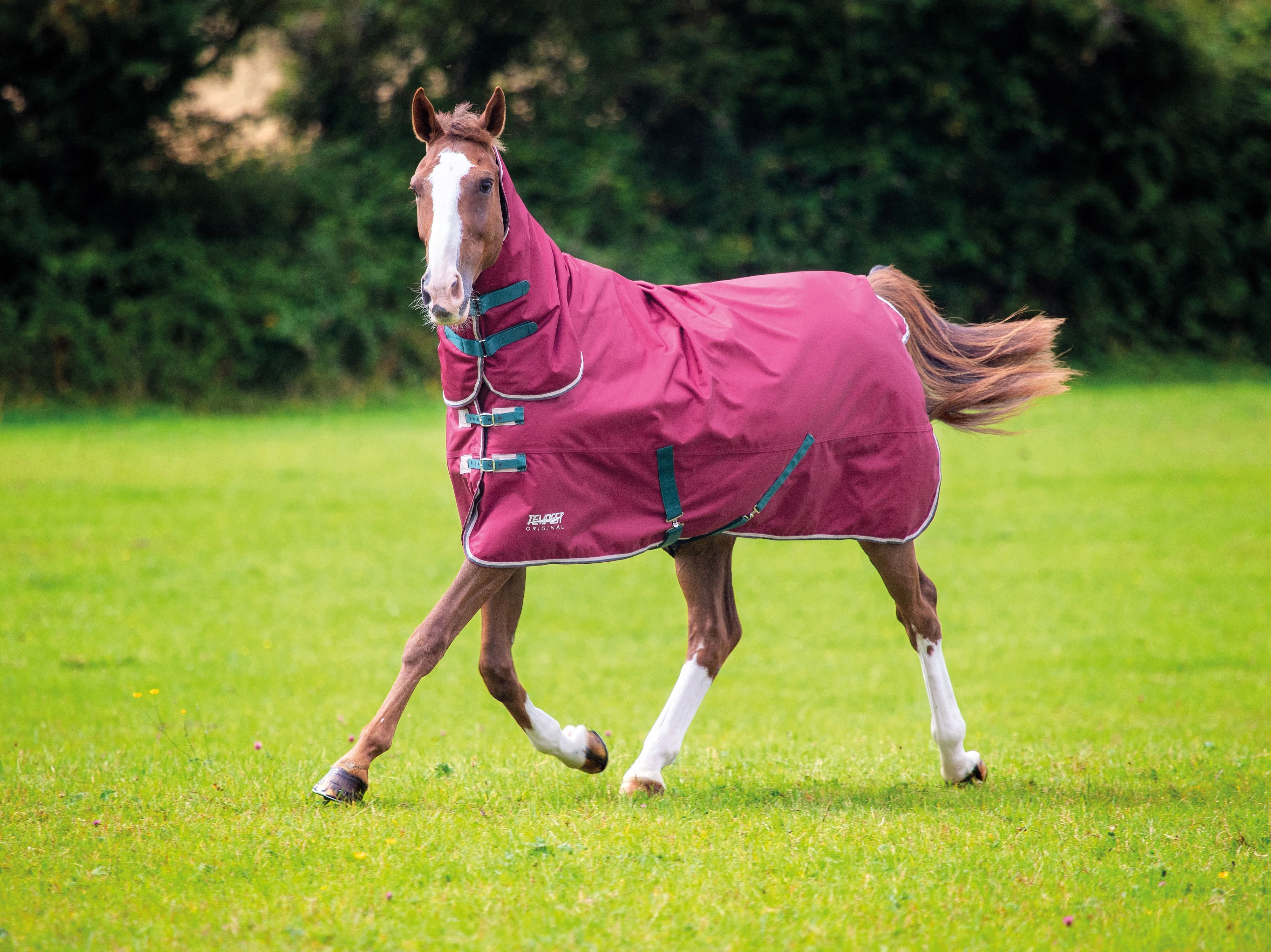 Tempest Original 200 Turnout Combo Rug