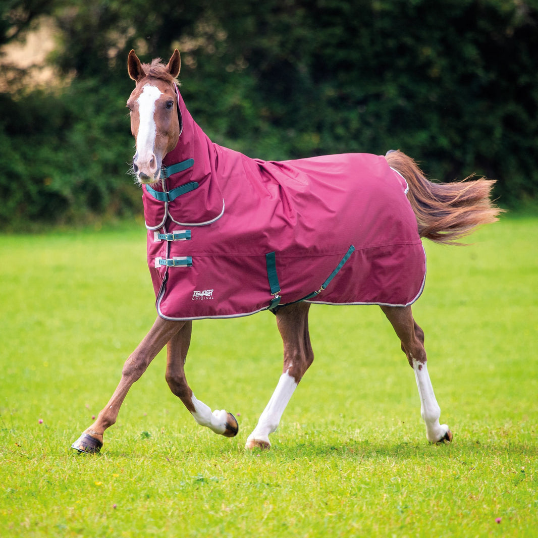 200g Turnout Rugs