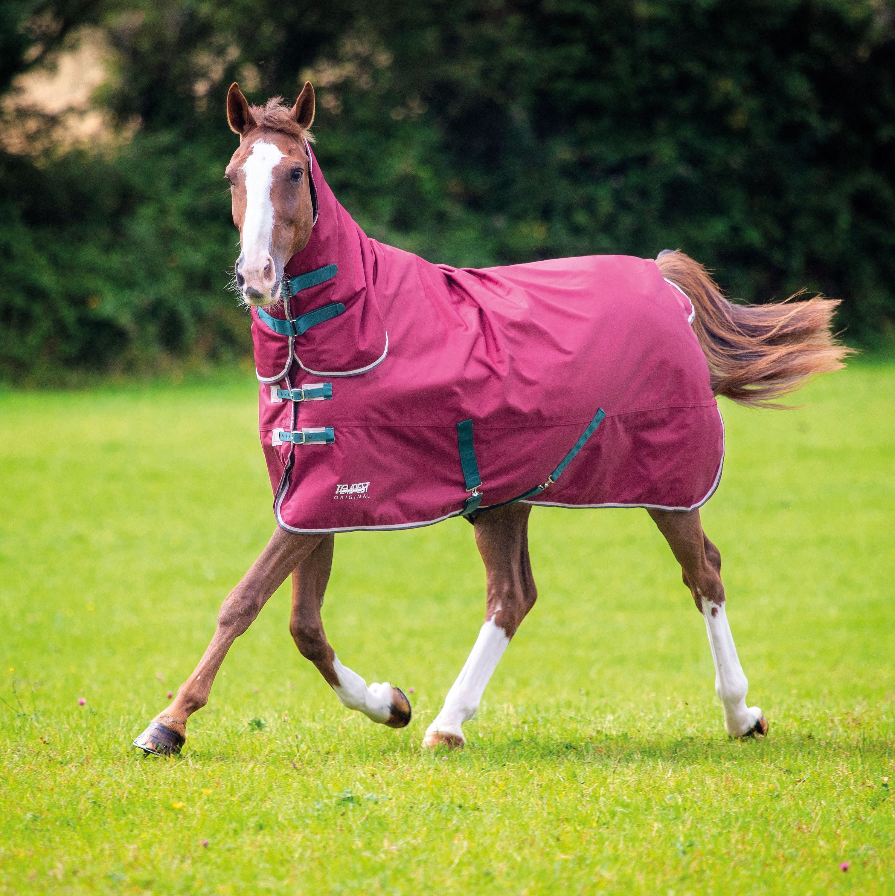 Tempest Original 200 Turnout Combo Rug