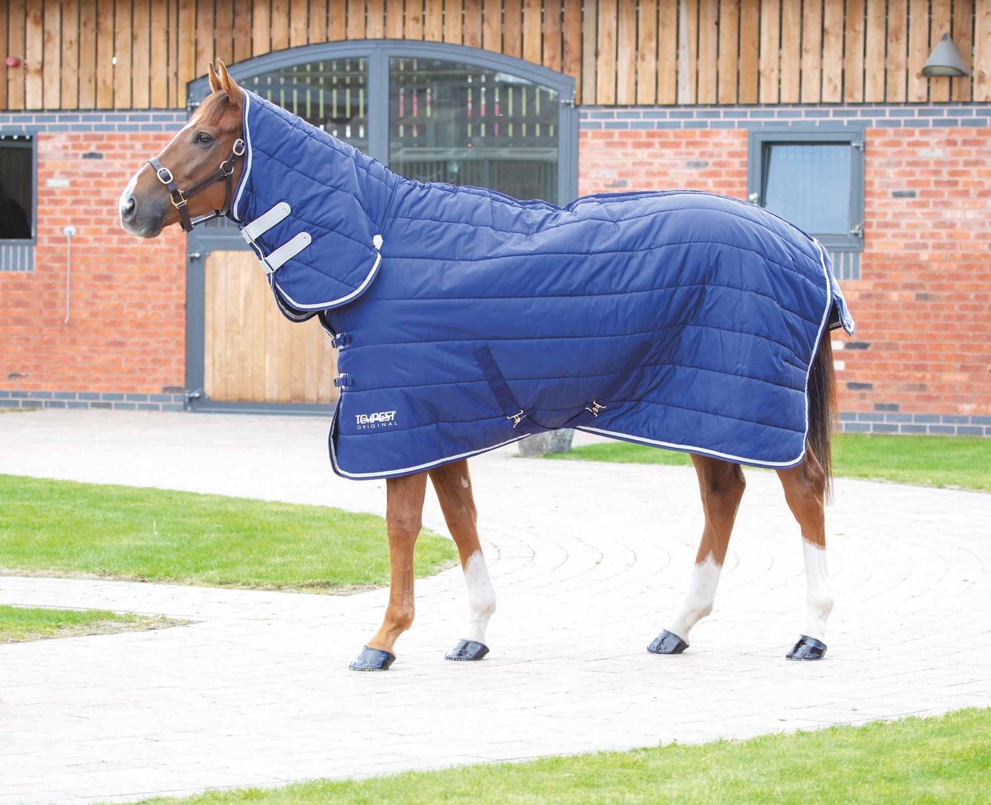 Tempest Original 200 Stable Combo Rug